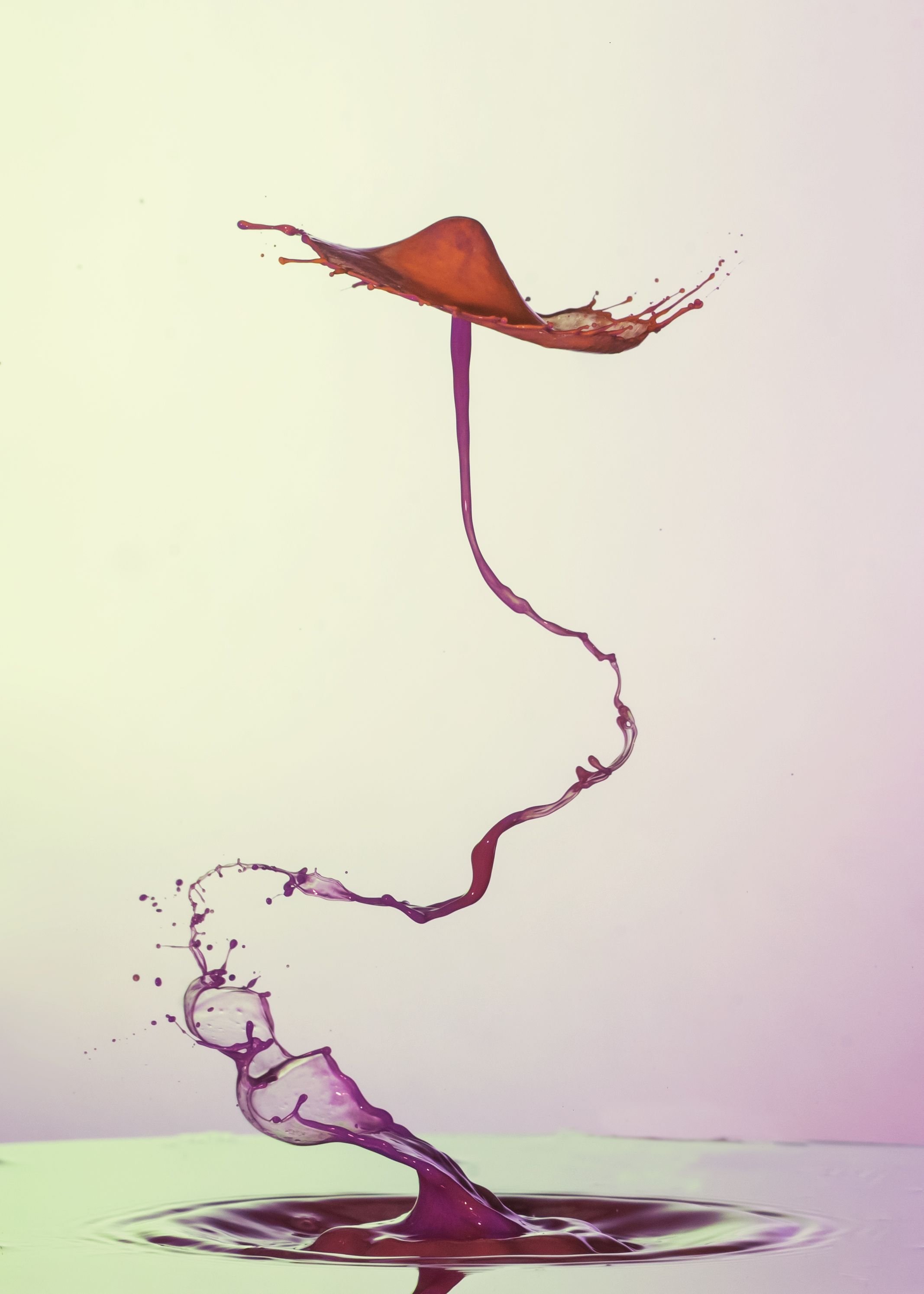 wtwrdrop,abstract,liquid,art,photography,droplet,color,light,flash,, mustafa yagci