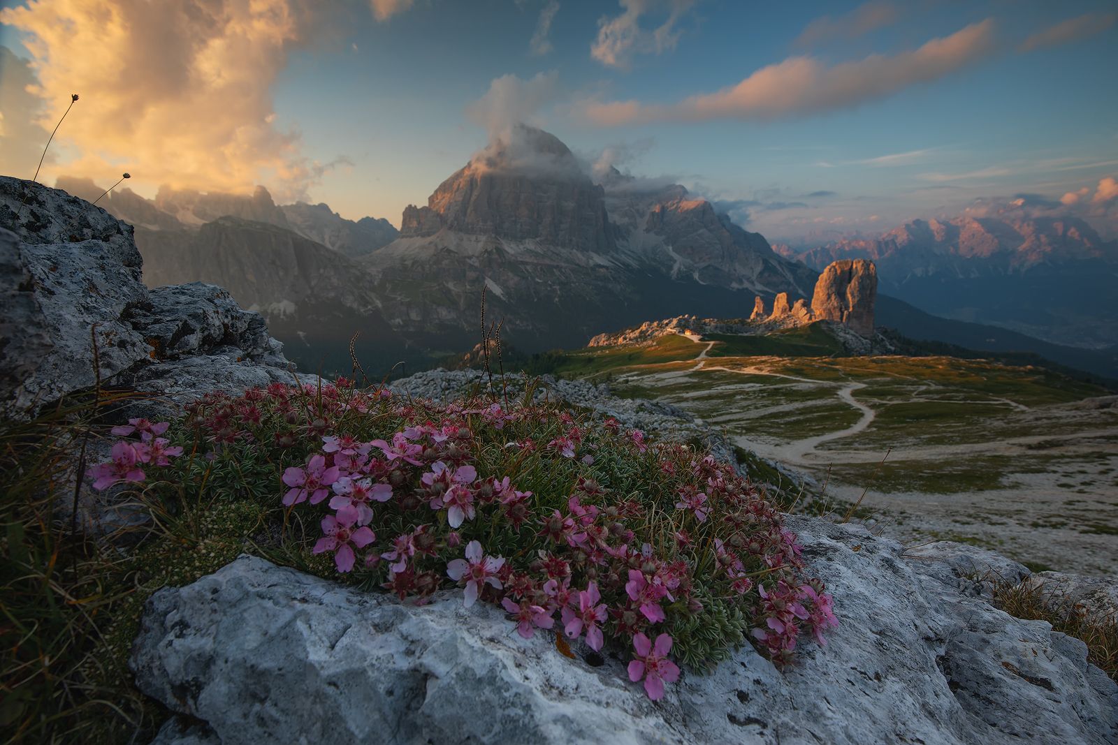 #mountains #dolomites #flowers #peaks #italy #clouds #sunset #light #misty, Lazar Ioan Ovidiu