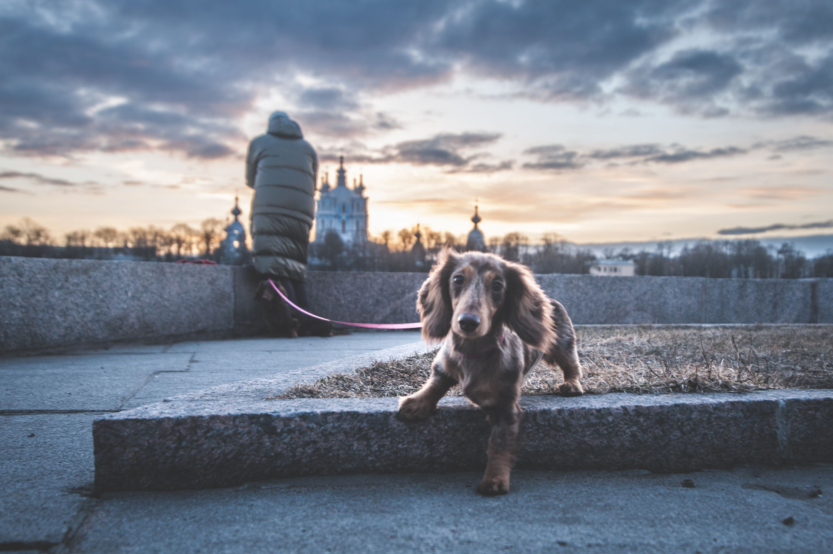 , Дмитрий Жуков