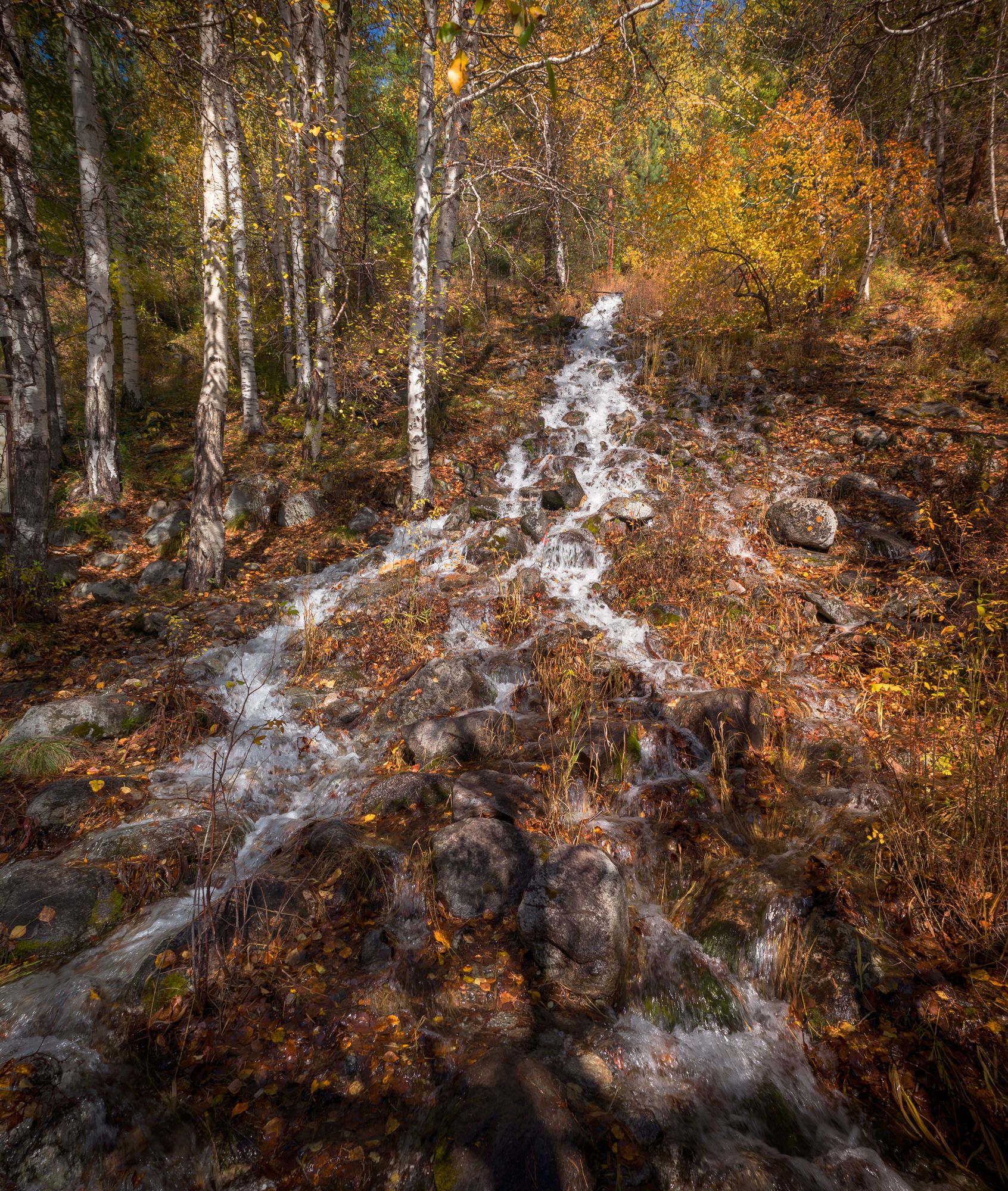 осень, река, Екатерина Назарова