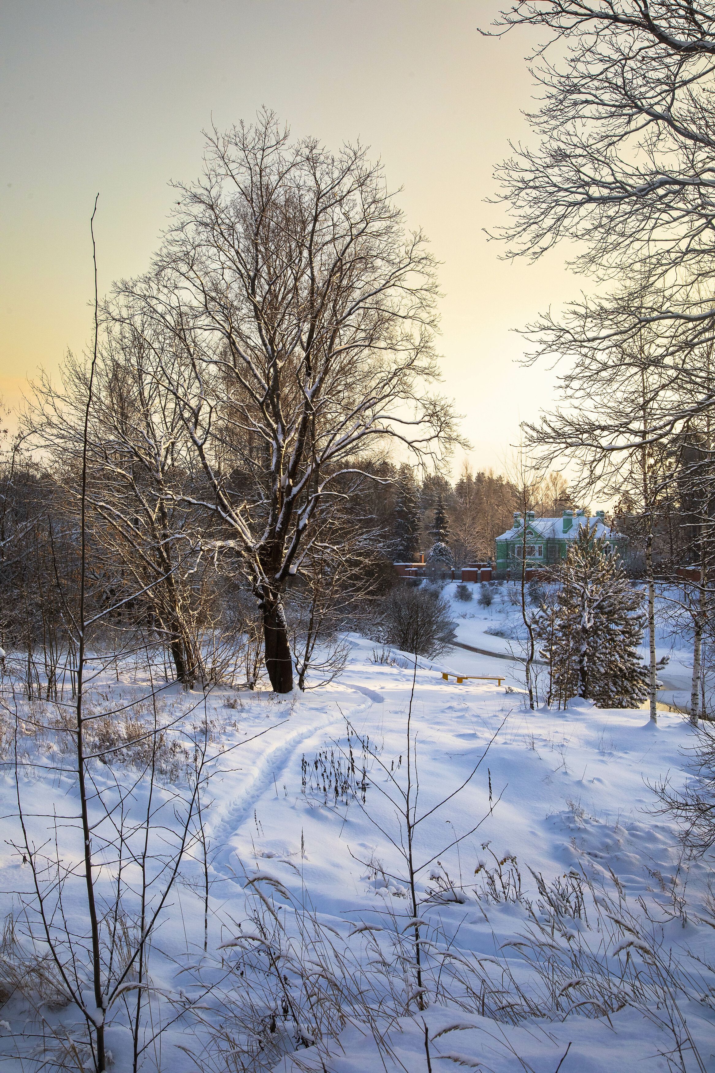 пейзаж, природа, день, зима, Александр Игнатьев