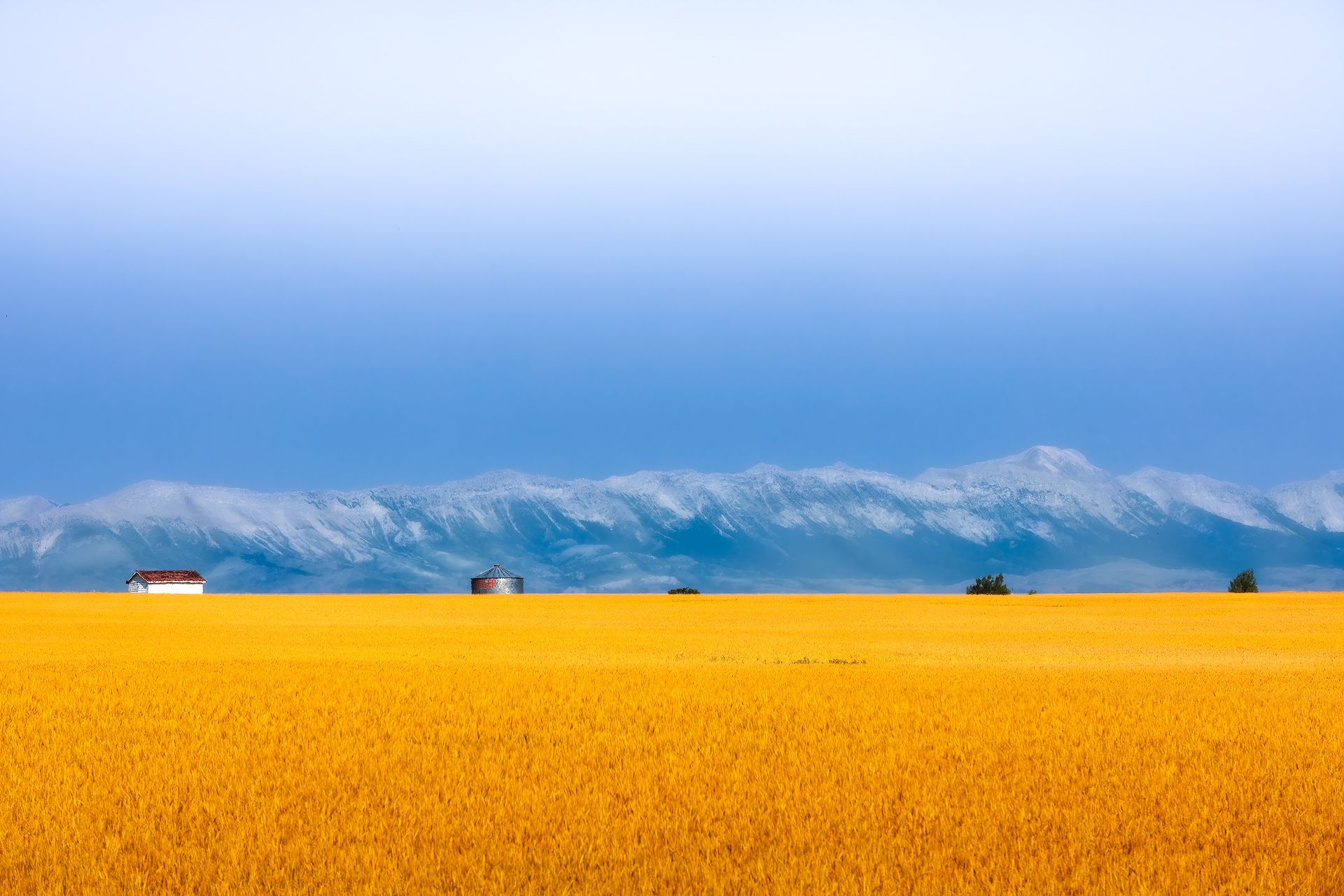 landscape, nature, outdoor, harvest, grass, meadow, grassland, prairie, tree, mountain, snow, autumn, house, horn, Huapu Zhao