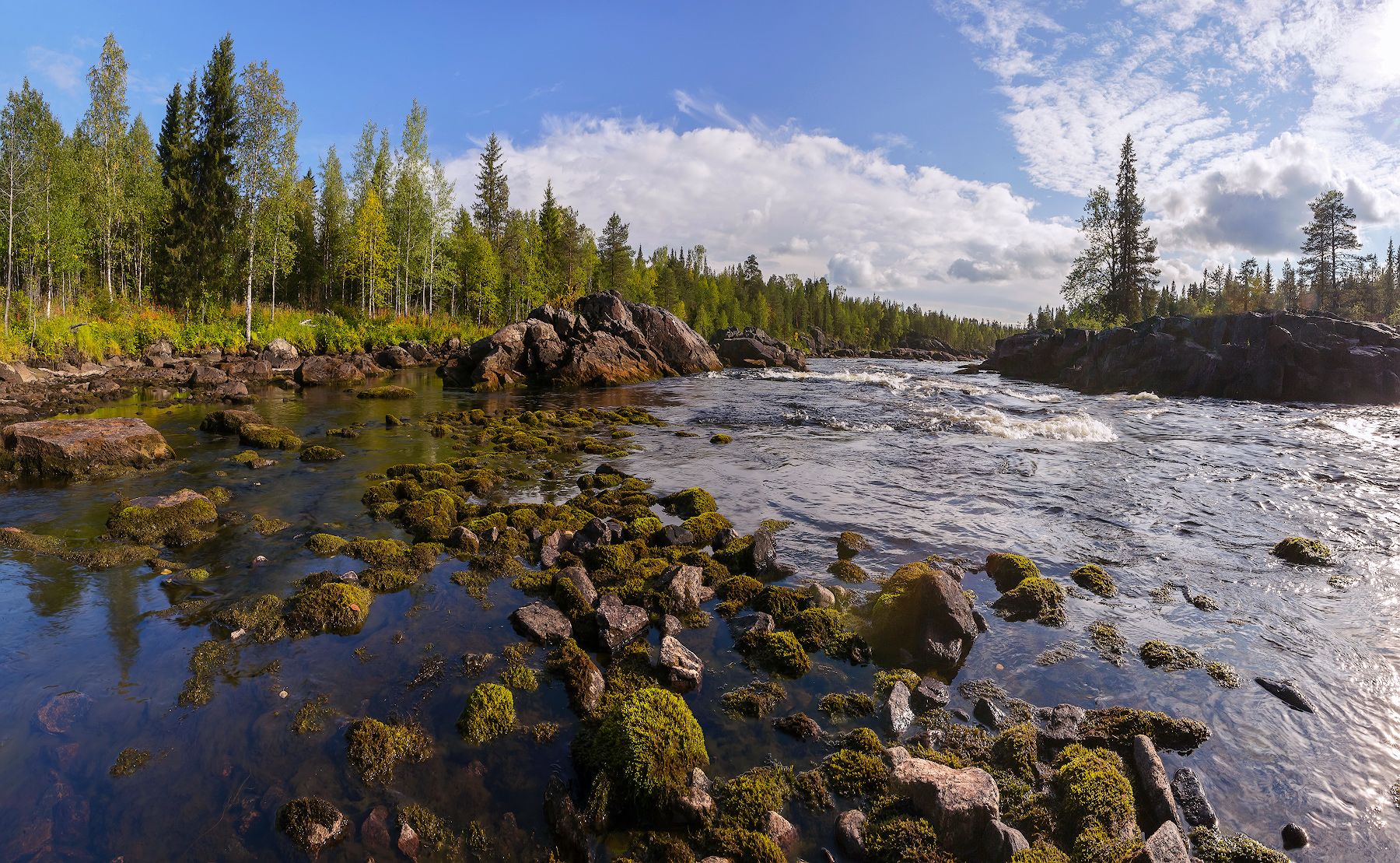 Жизни река бежит