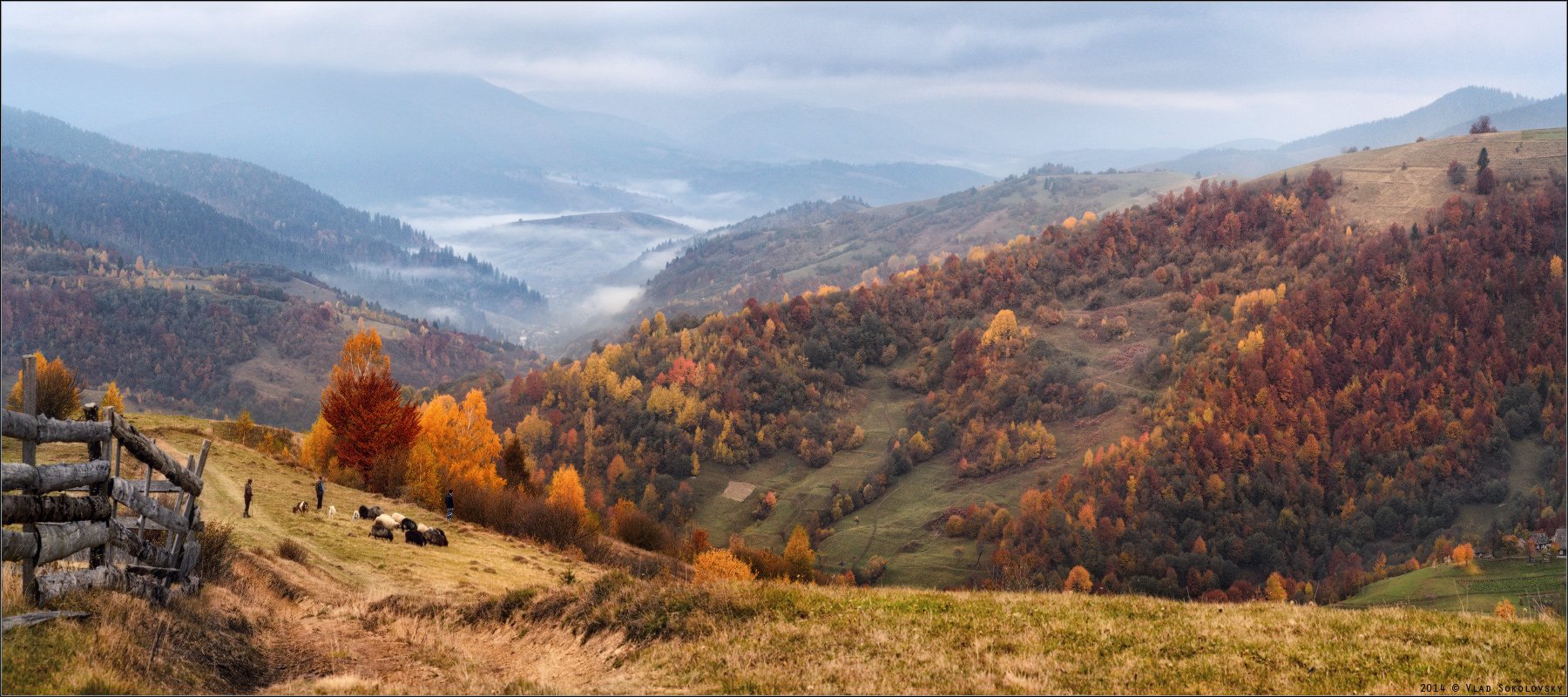 , Влад Соколовский