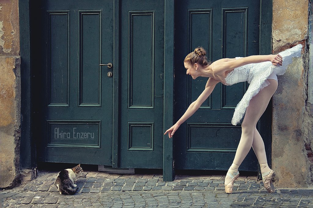 Ballerina, Ballet, Cat, City, Street, Enzeru Akira