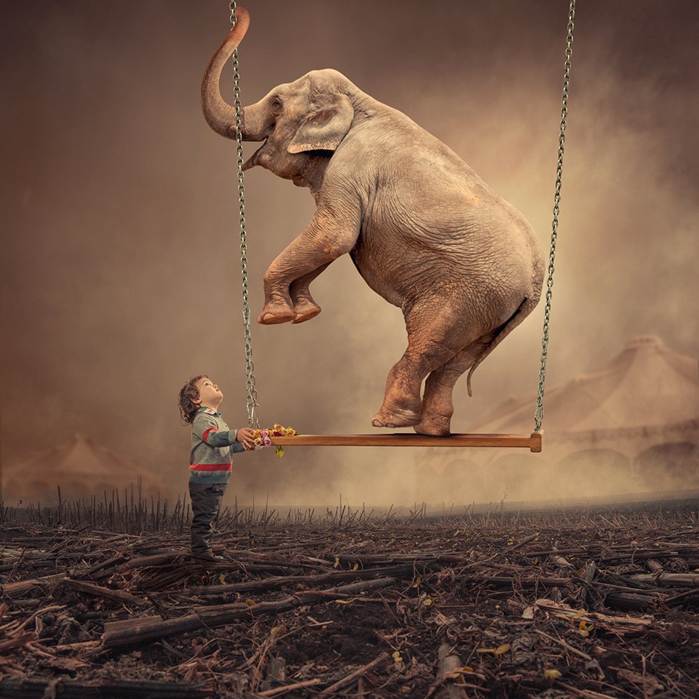 , Caras Ionut