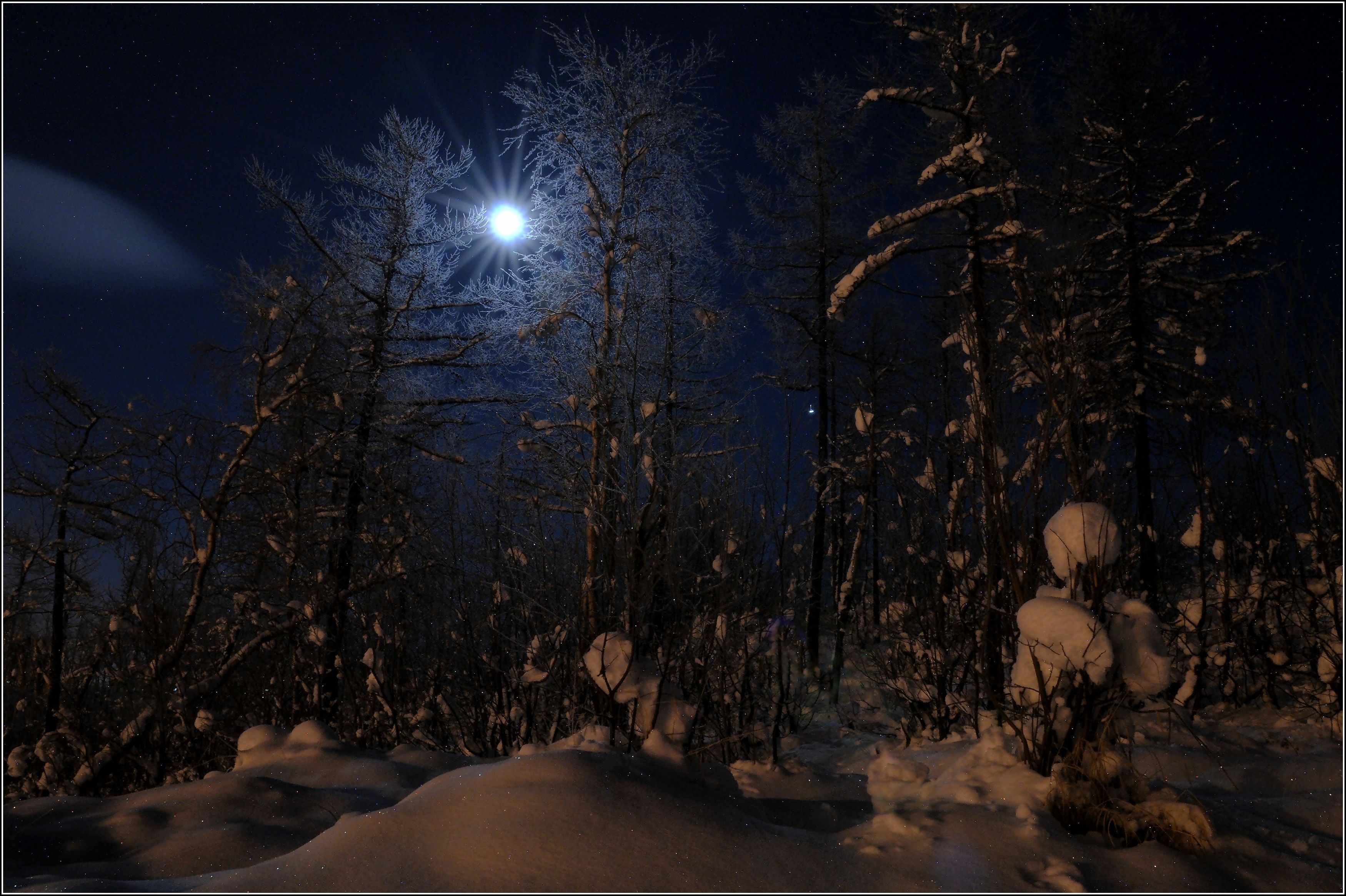 Слушать песню луна светила. Ночная тишина ноябрь. Ночная съемка Луна. Лунная Соната фото. Луна ночь тишины деревьев вечеринки.