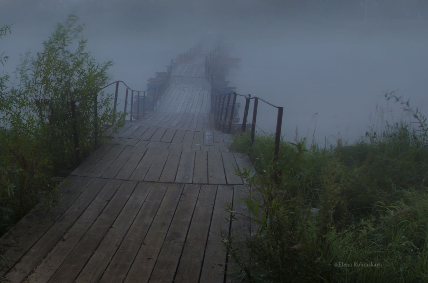 мост, ярославская область, некрасовское, туман, Елена Рубинская