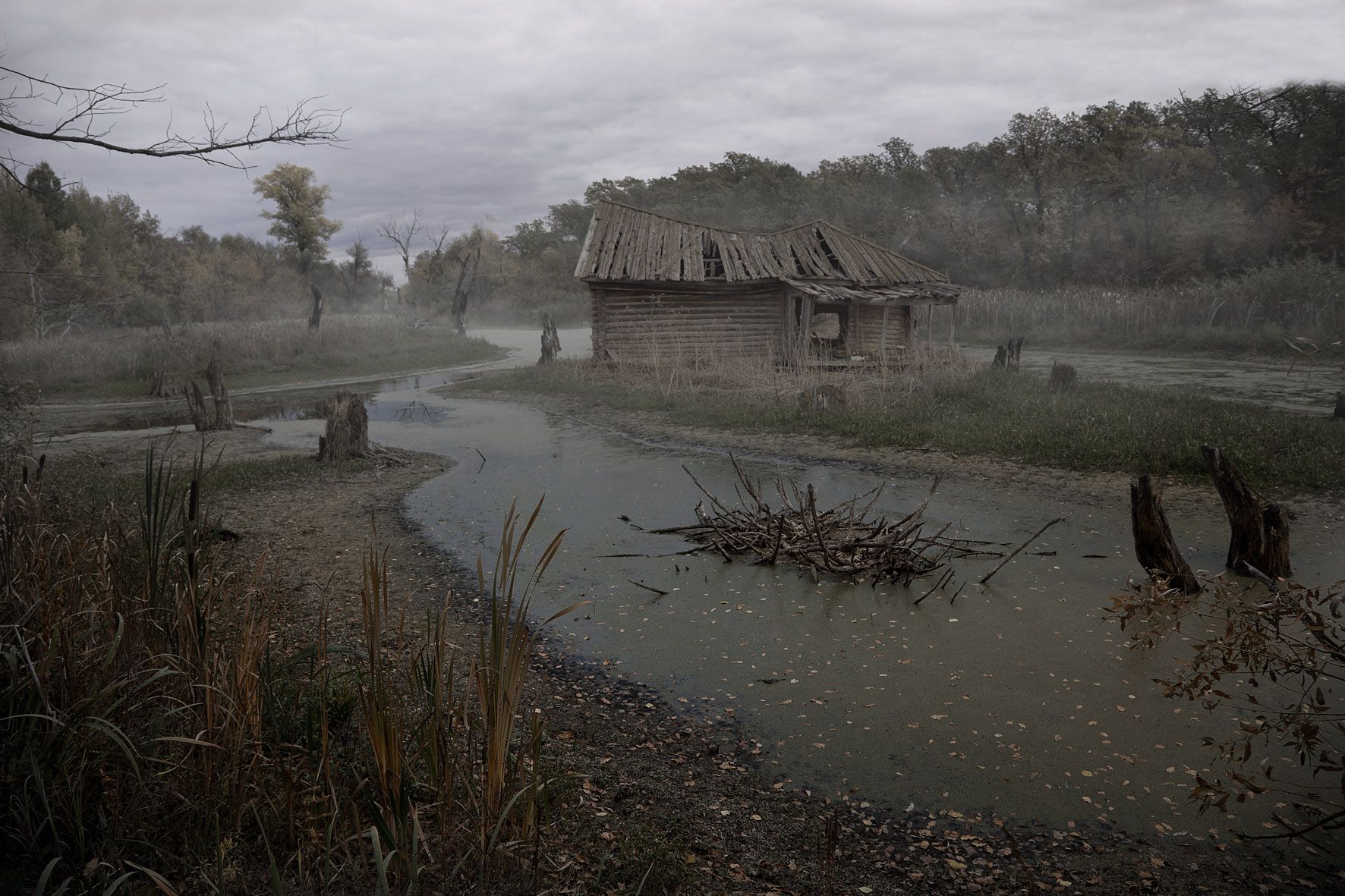 осень туман болото, Виктор Кириллов