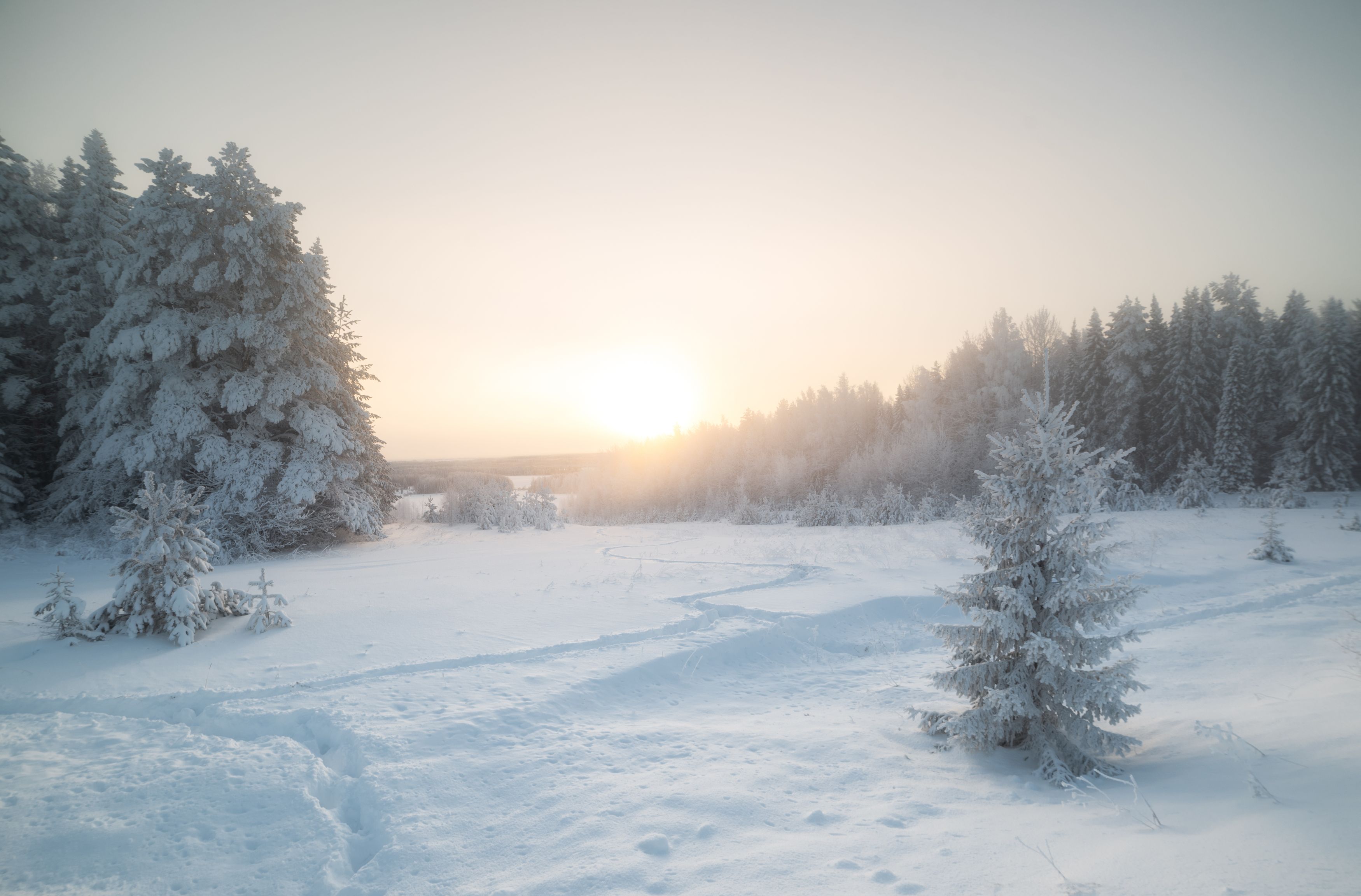 пейзаж, зима, мороз, природа, рассвет, Андрей Малыгин