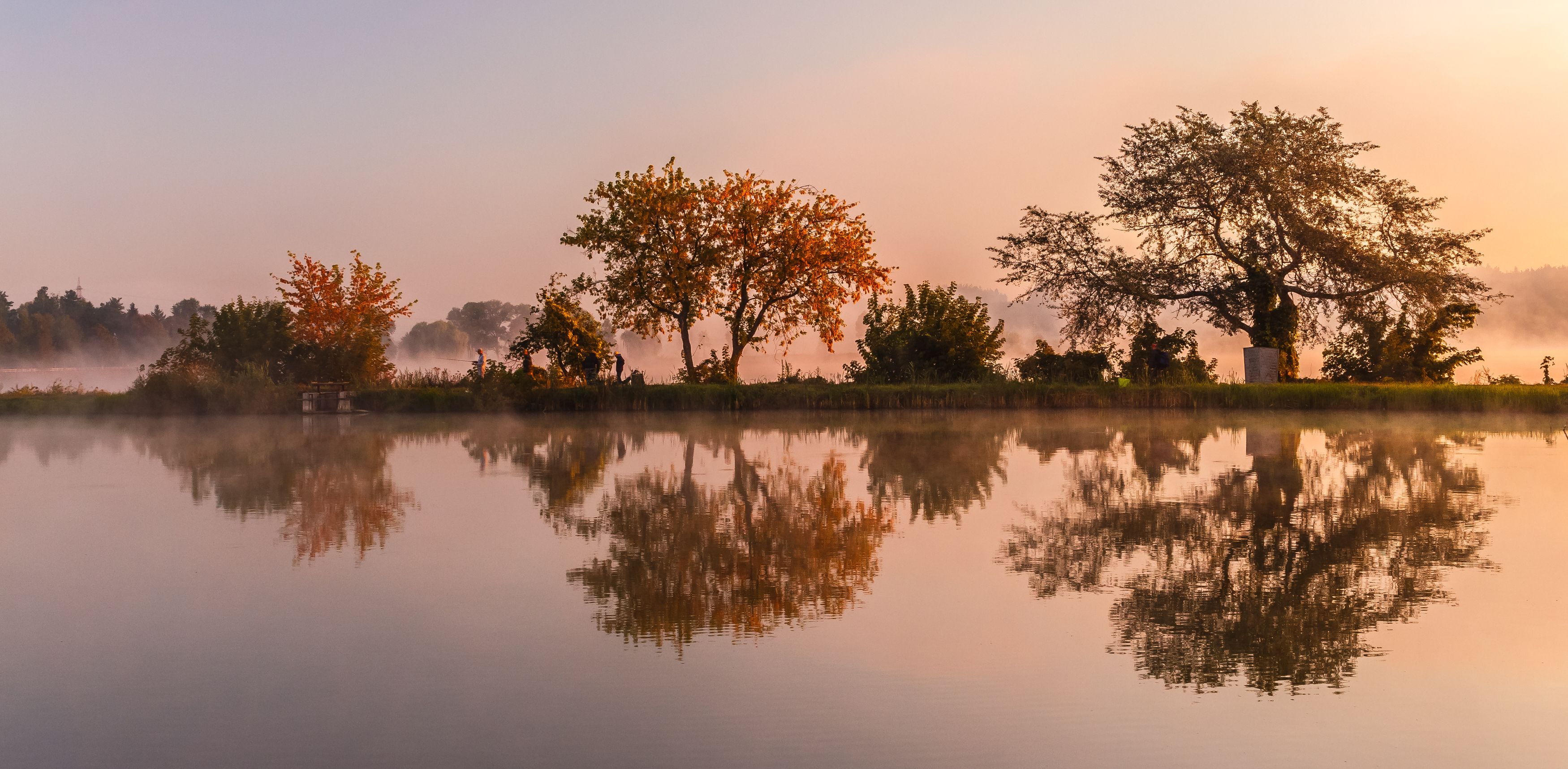 утро, озеро,  дерево, туман, вода, отражение,, Андрей Косенко