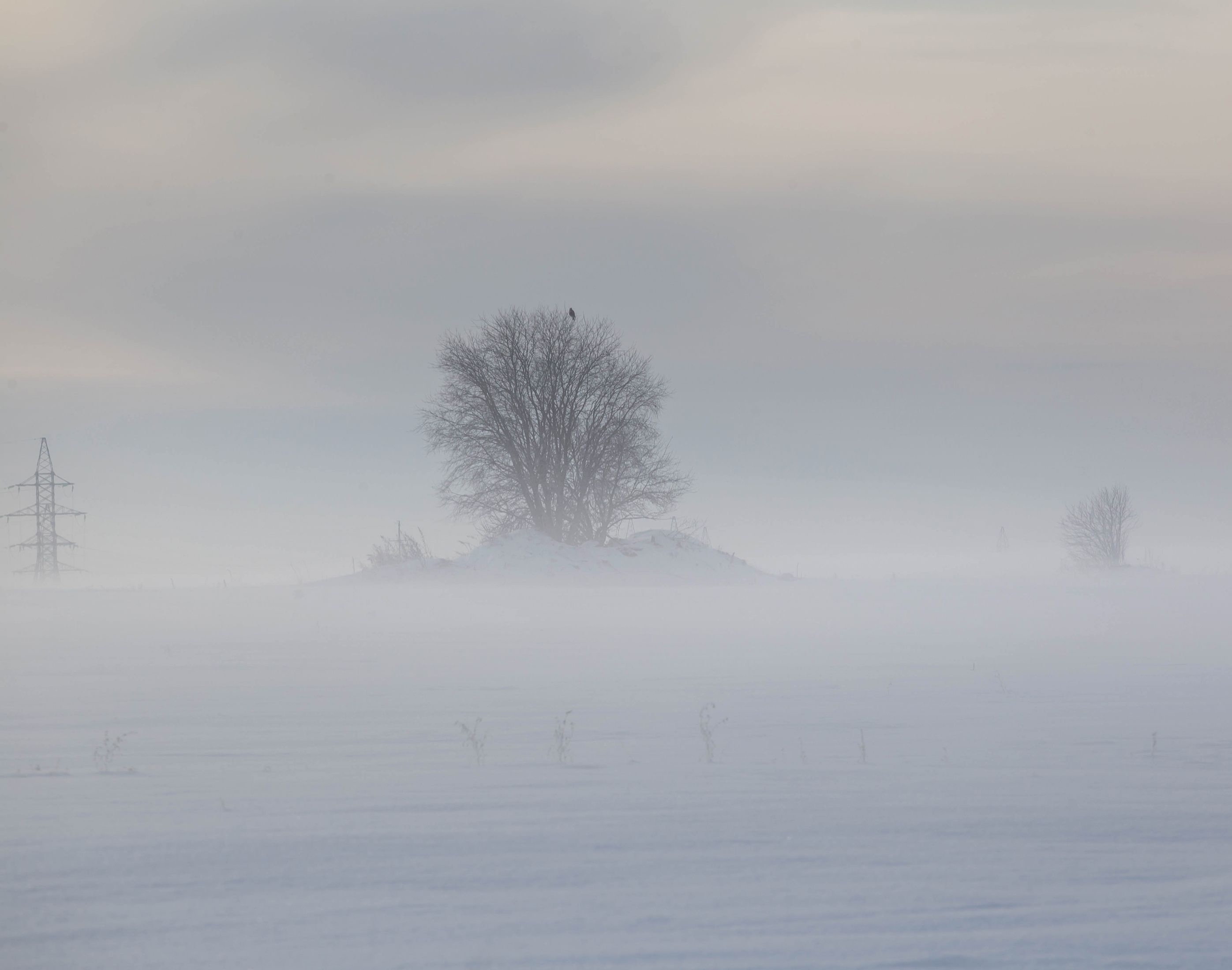 туман,зима, снег, север, Павел Ващенков