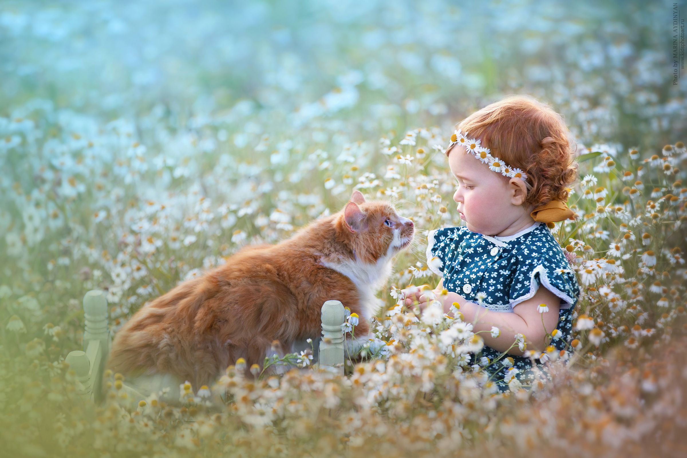 дети животные кот котики портрет детскийпортрет, Марина Айдинян