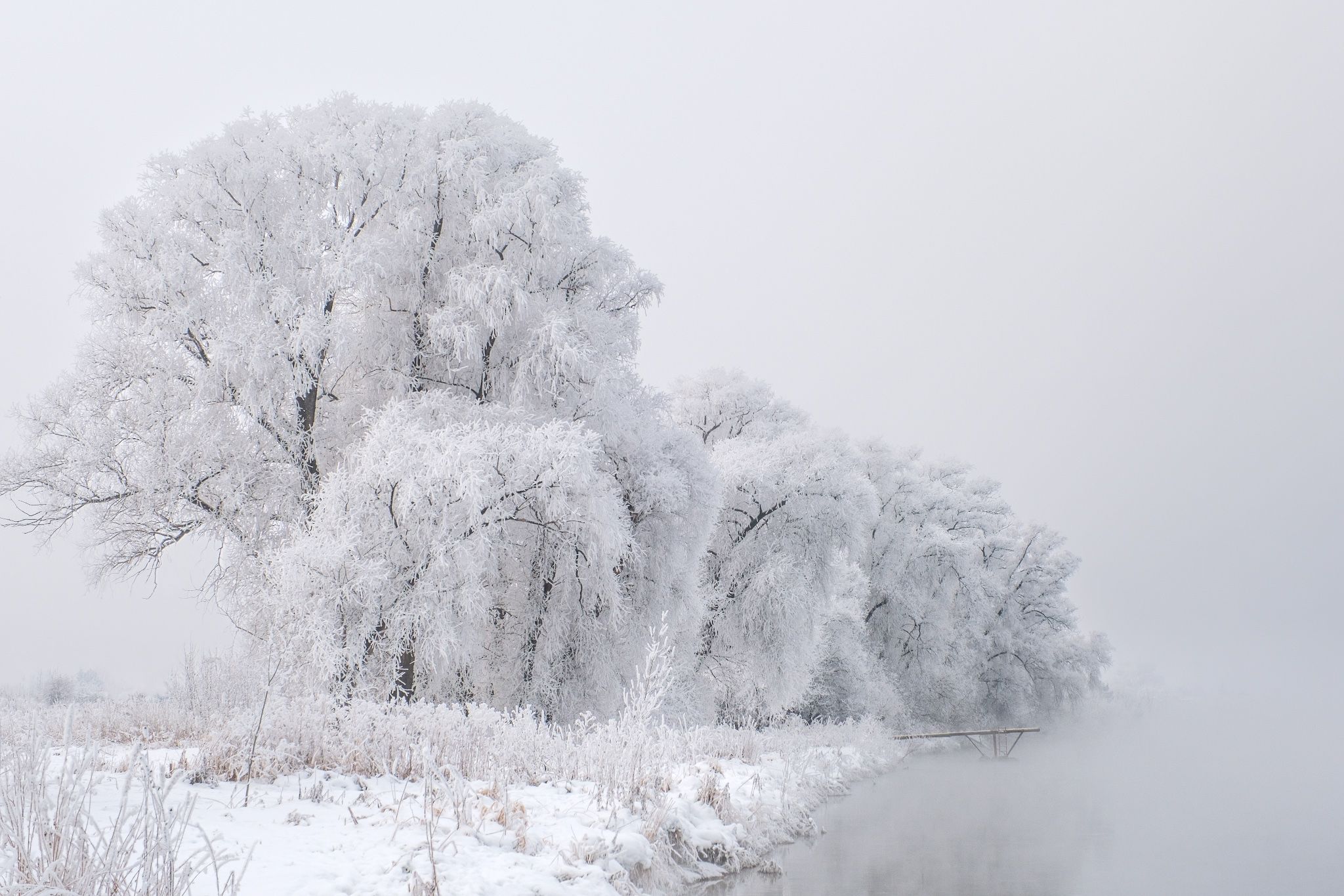 зима, зимний пейзаж, пейзаж ,снег, туман, закат, мороз, winter, fujifilm, Константин Леонтьев
