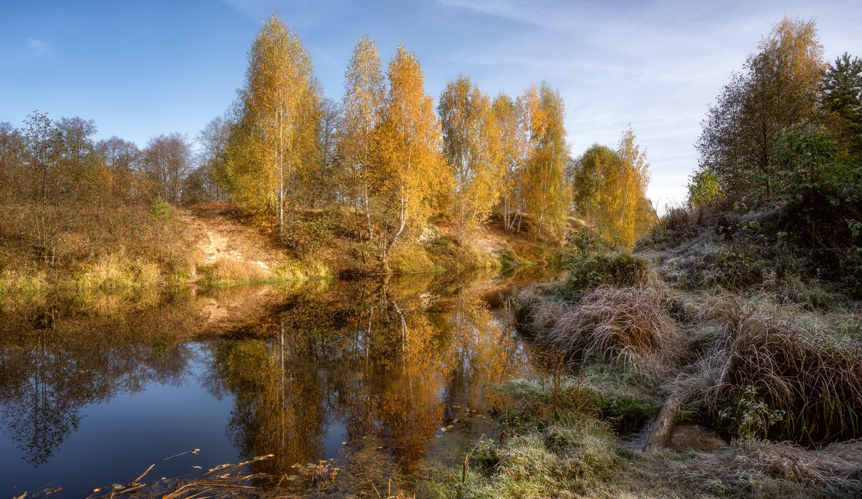 октябрь река  деревья трава иней, Андрей Колесов
