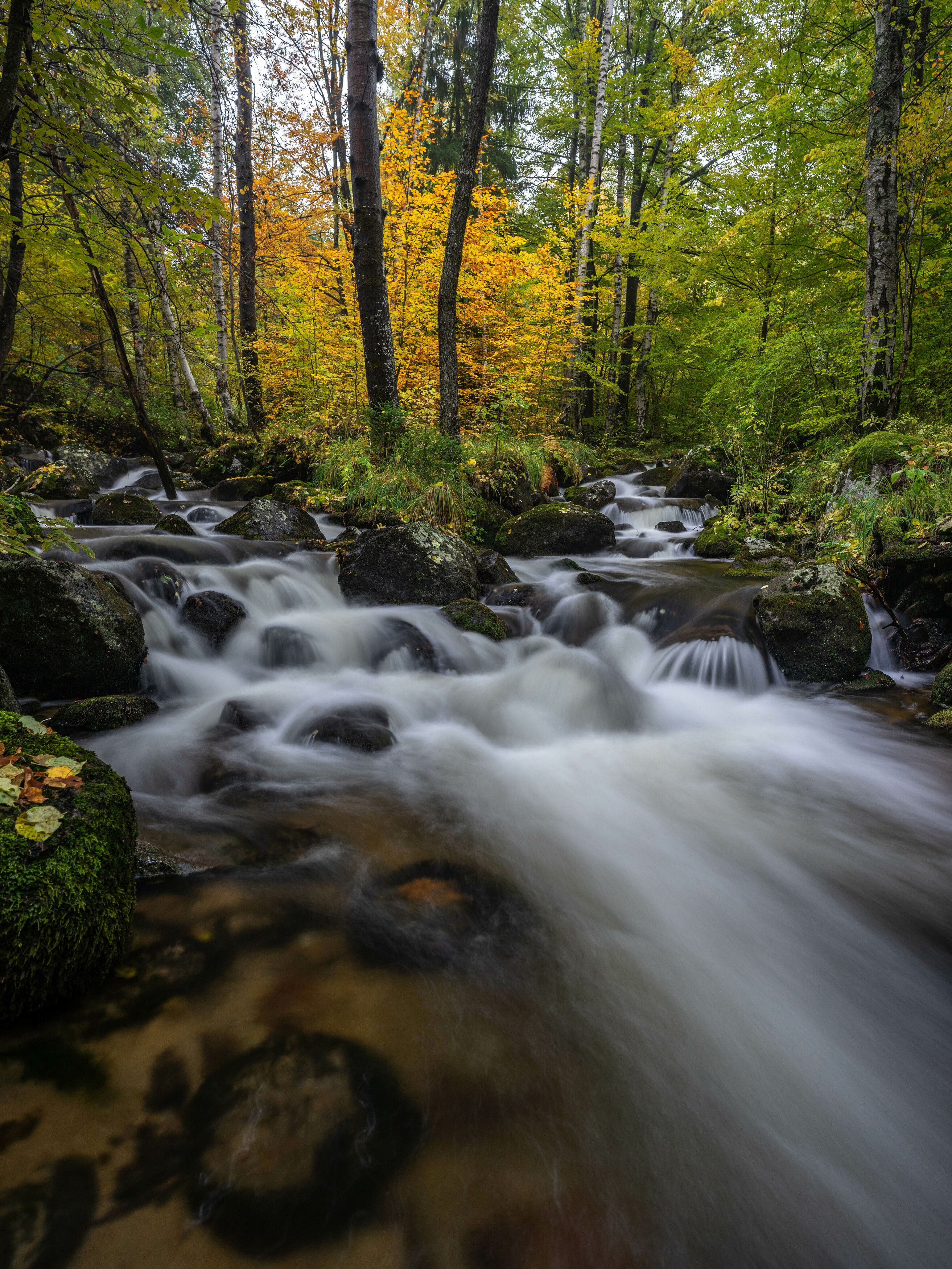 river,landscapes,nature,vertical,autumn, viktor demidov