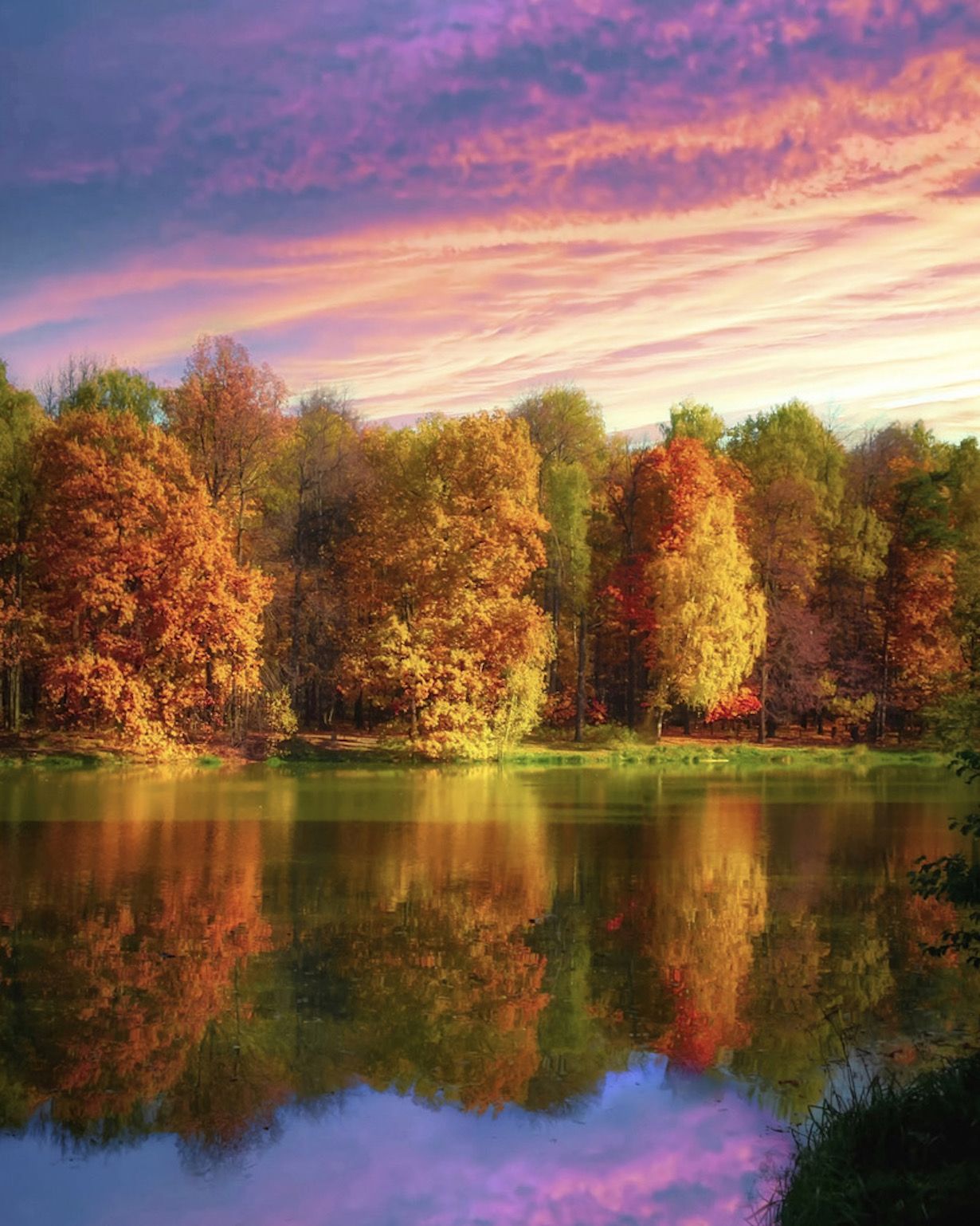 золотая осень, gold autumn, природа, пейзаж, landscape, nature,  осень, autumn, Julia Kaissa
