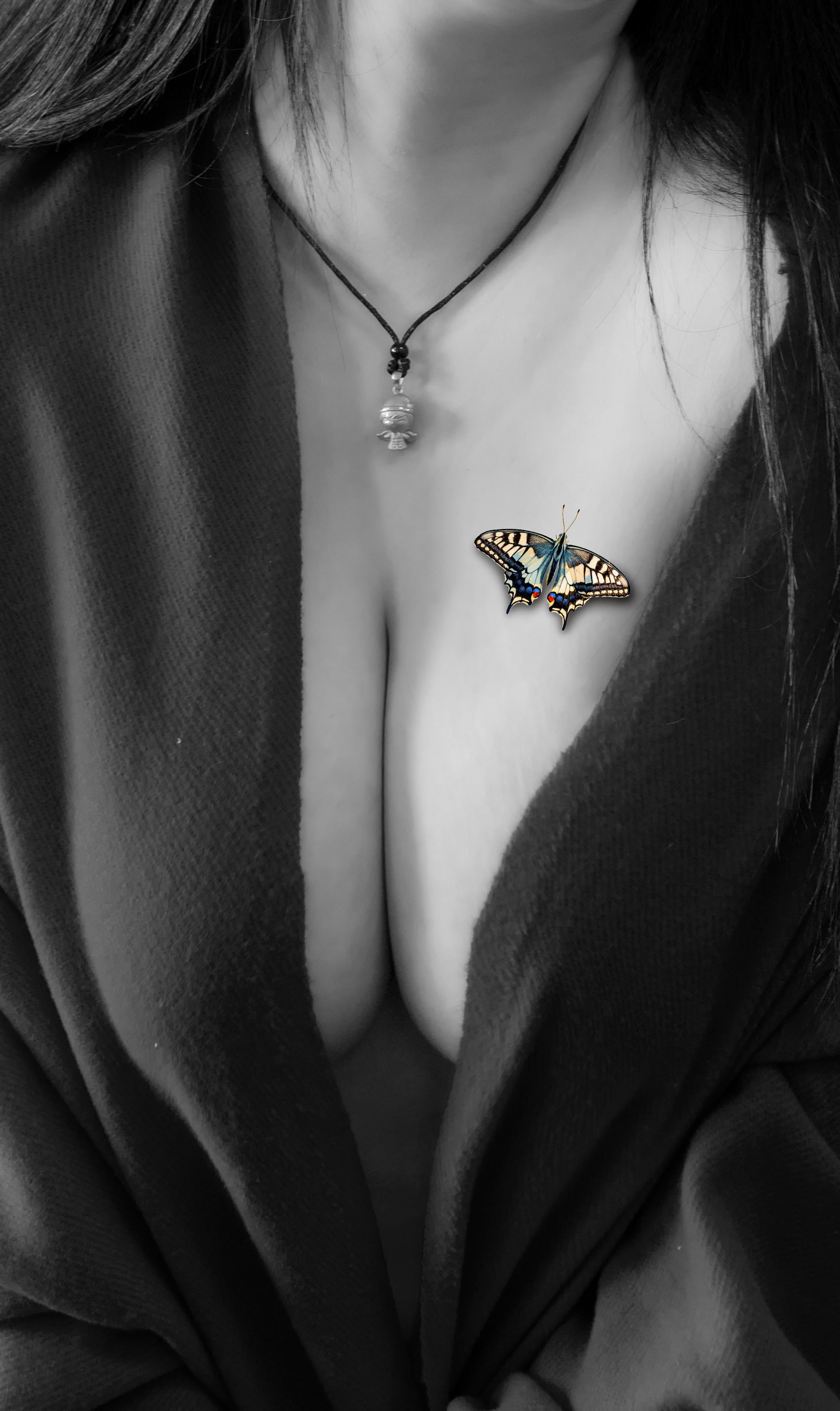 butterfly, yelangzhong