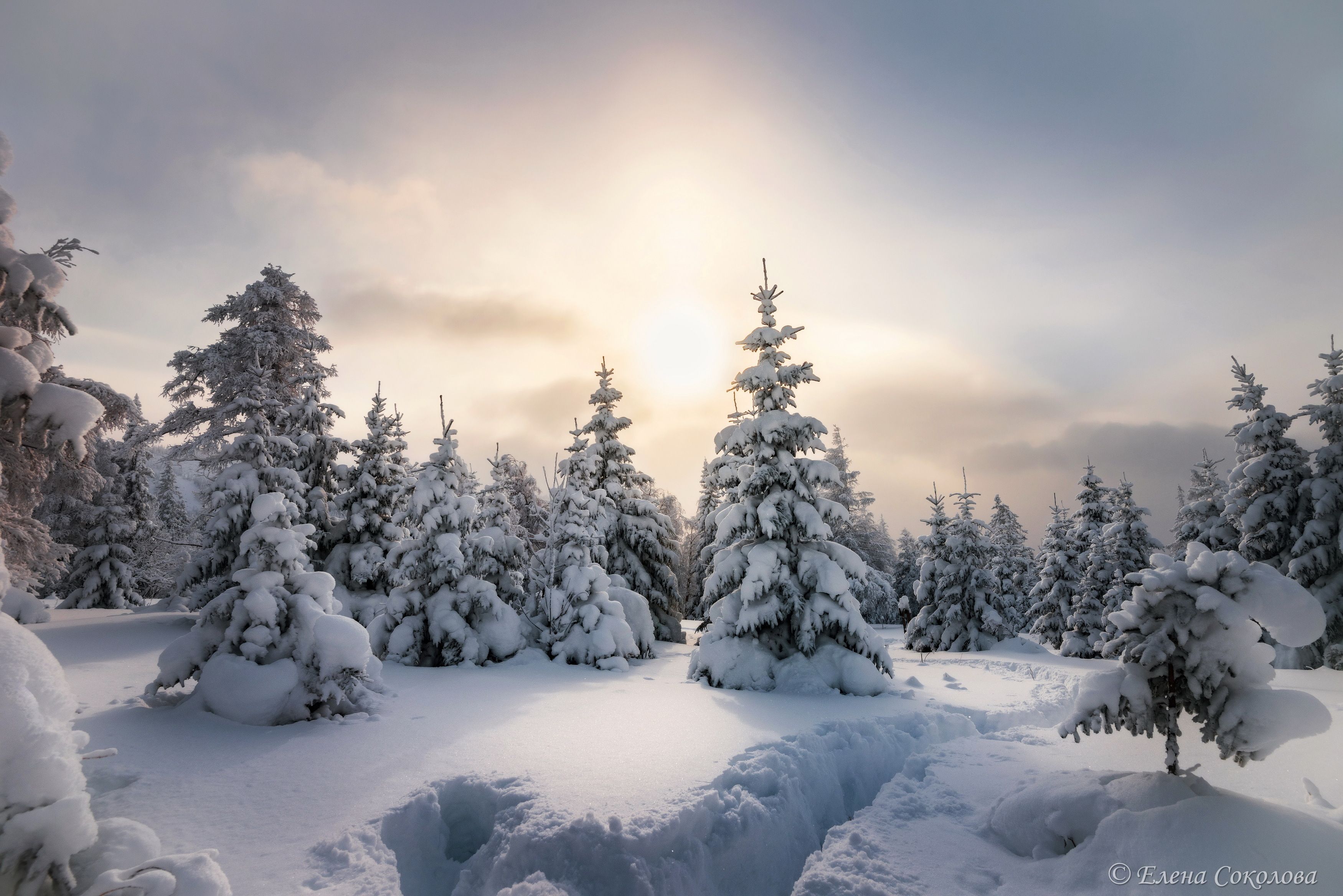 зима, зимний пейзаж, уван, красота, зимний лес, Елена Соколова