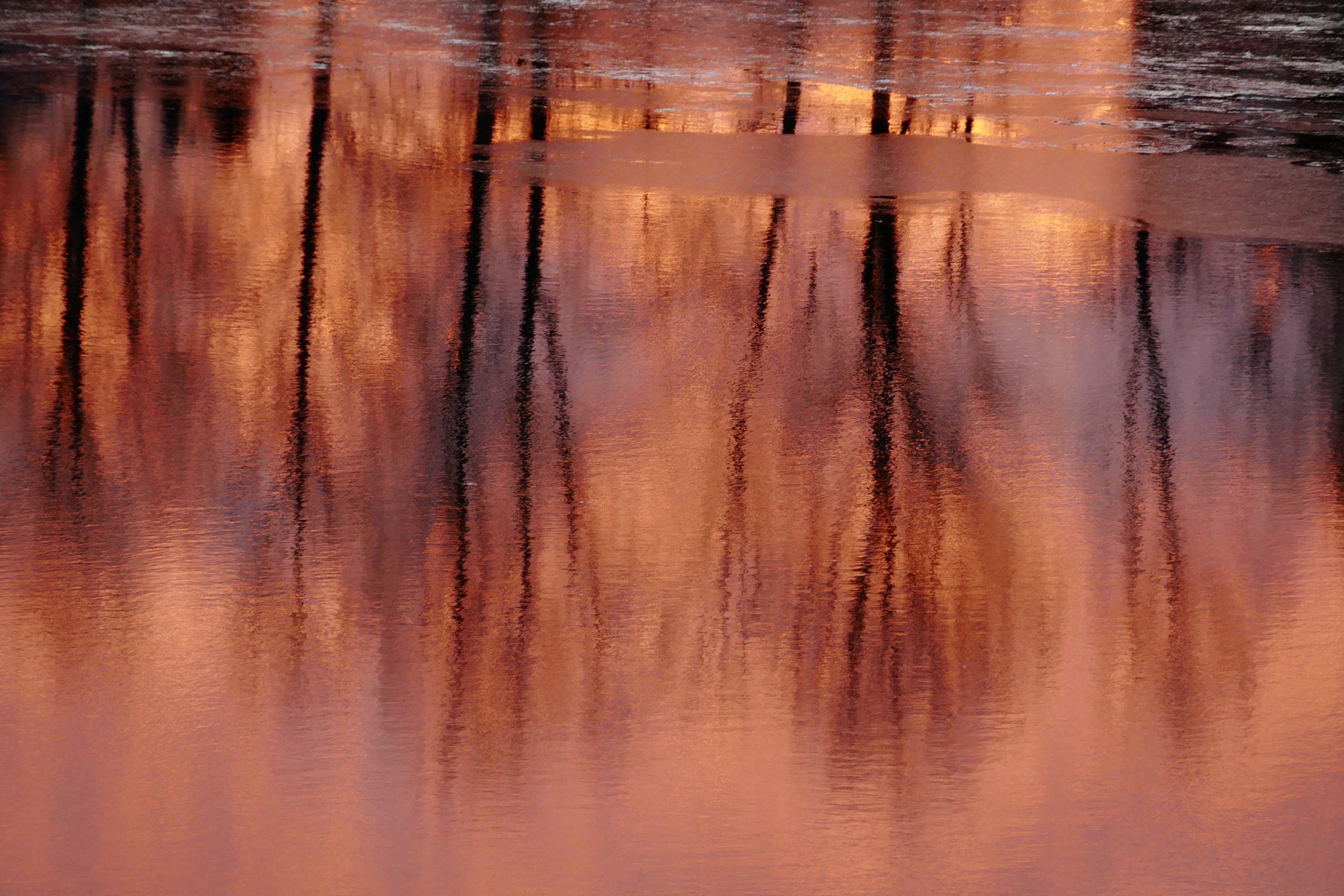 Abstraction, river, colors, pink, reflection, trees, frost, water, nature, , Svetlana Povarova Ree
