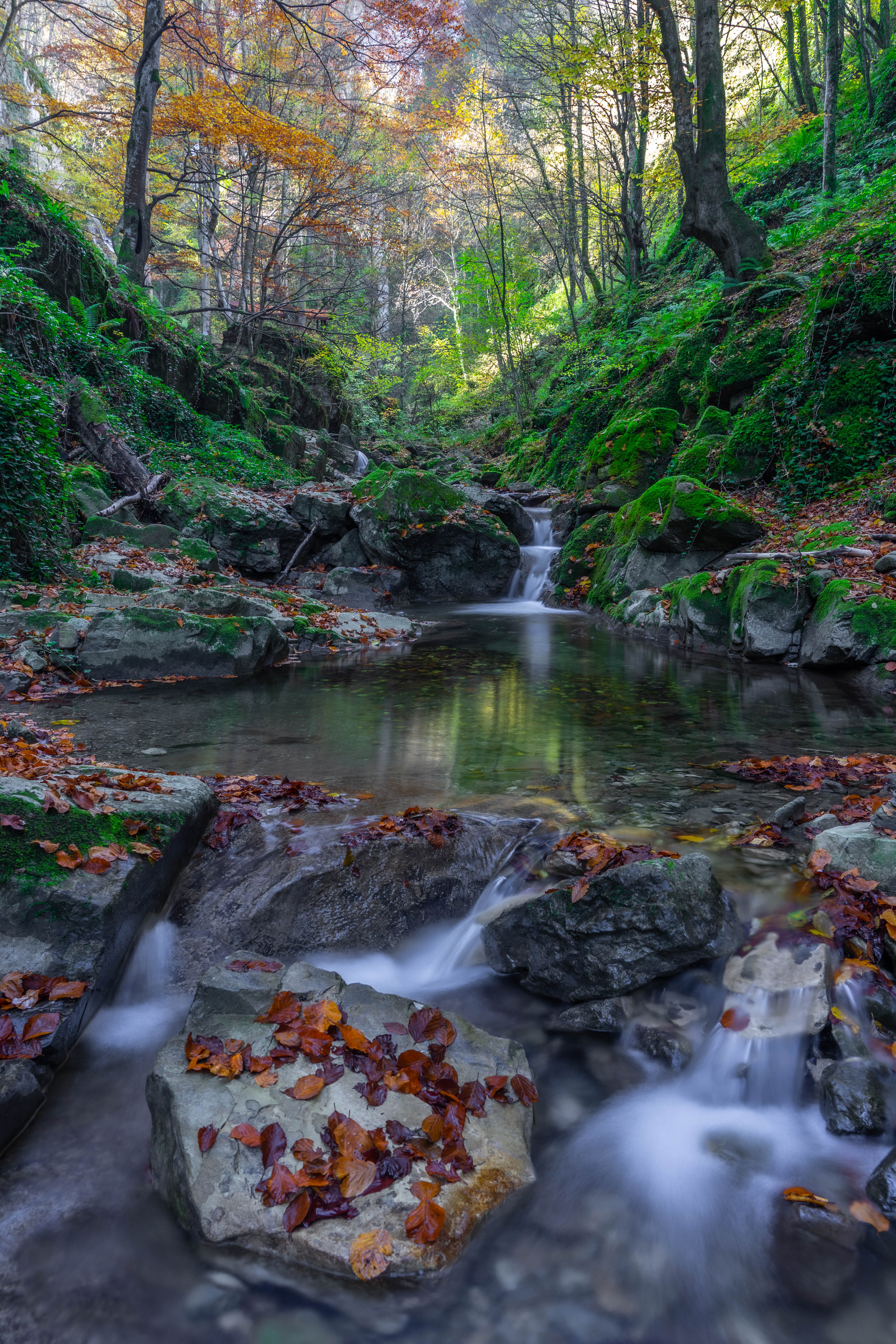 landscapes,nature,river,vertical, viktor demidov