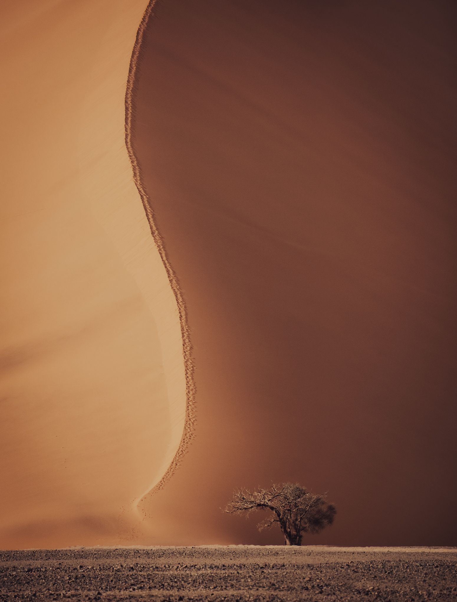 #дюна #соссусфлеи #намибия #африка #пейза #дерево #свет #тень #DuneSossusvlei #Namibia #africa #tree #Dune #Sossusvlei, Наталия Деркач