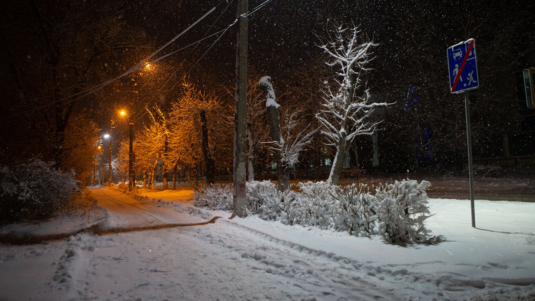 зима, ночь, город, улица, фонарь, Анна Северина