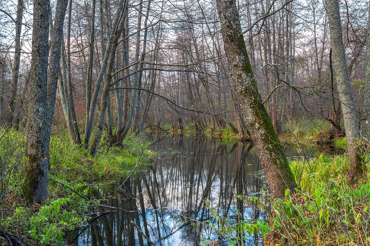 осень, лес, вода, река, Востриков Руслан