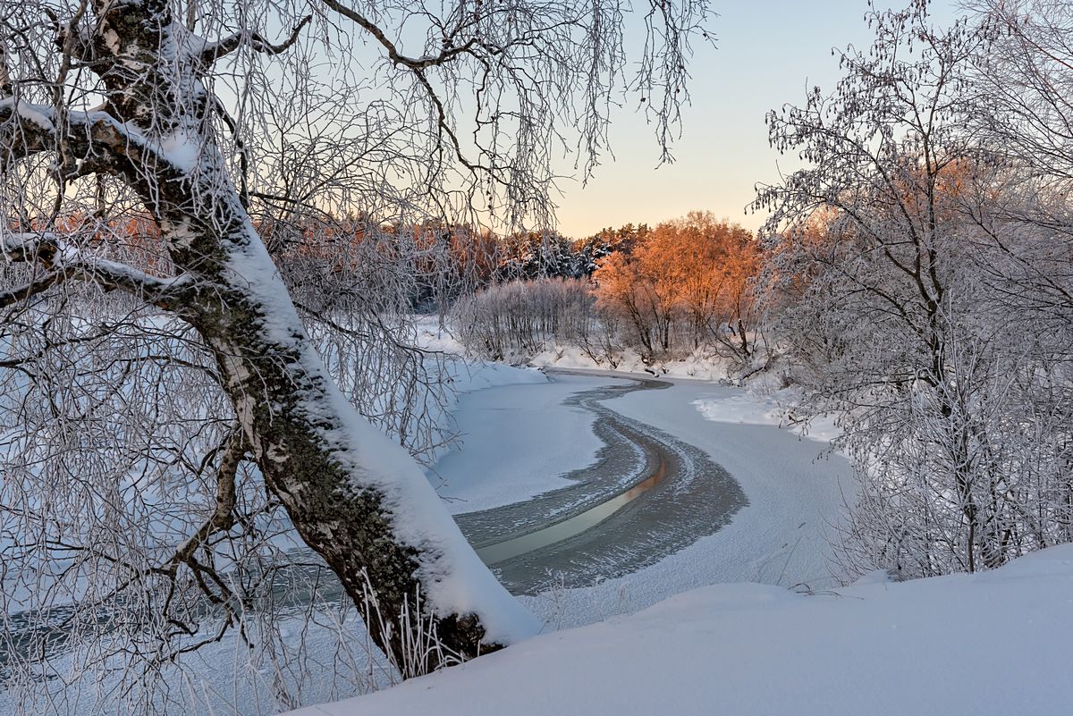 рассвет мороз утро зима берёза, Yakovlev Artur