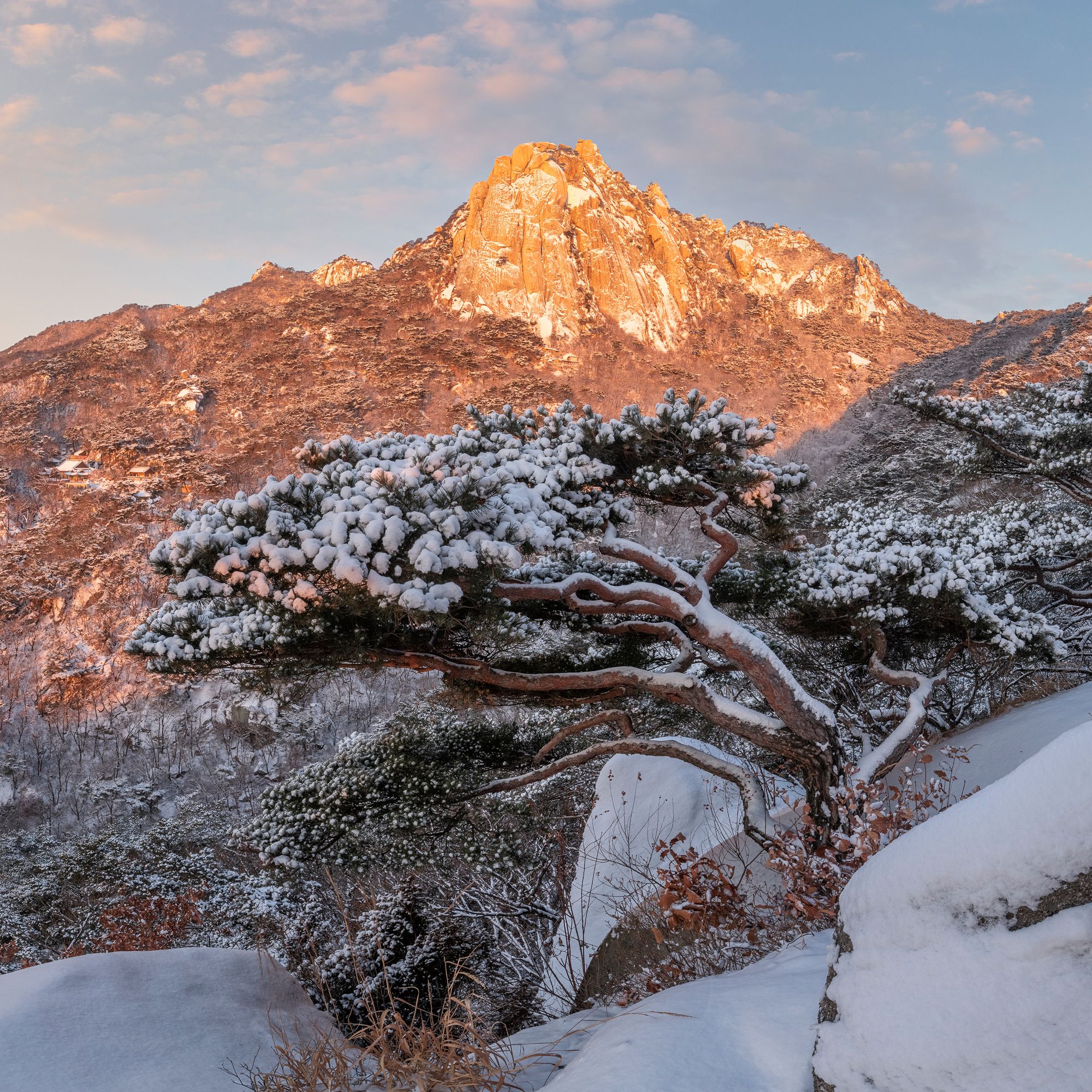 mountain, tree, nature, pine, clouds, Jaeyoun Ryu