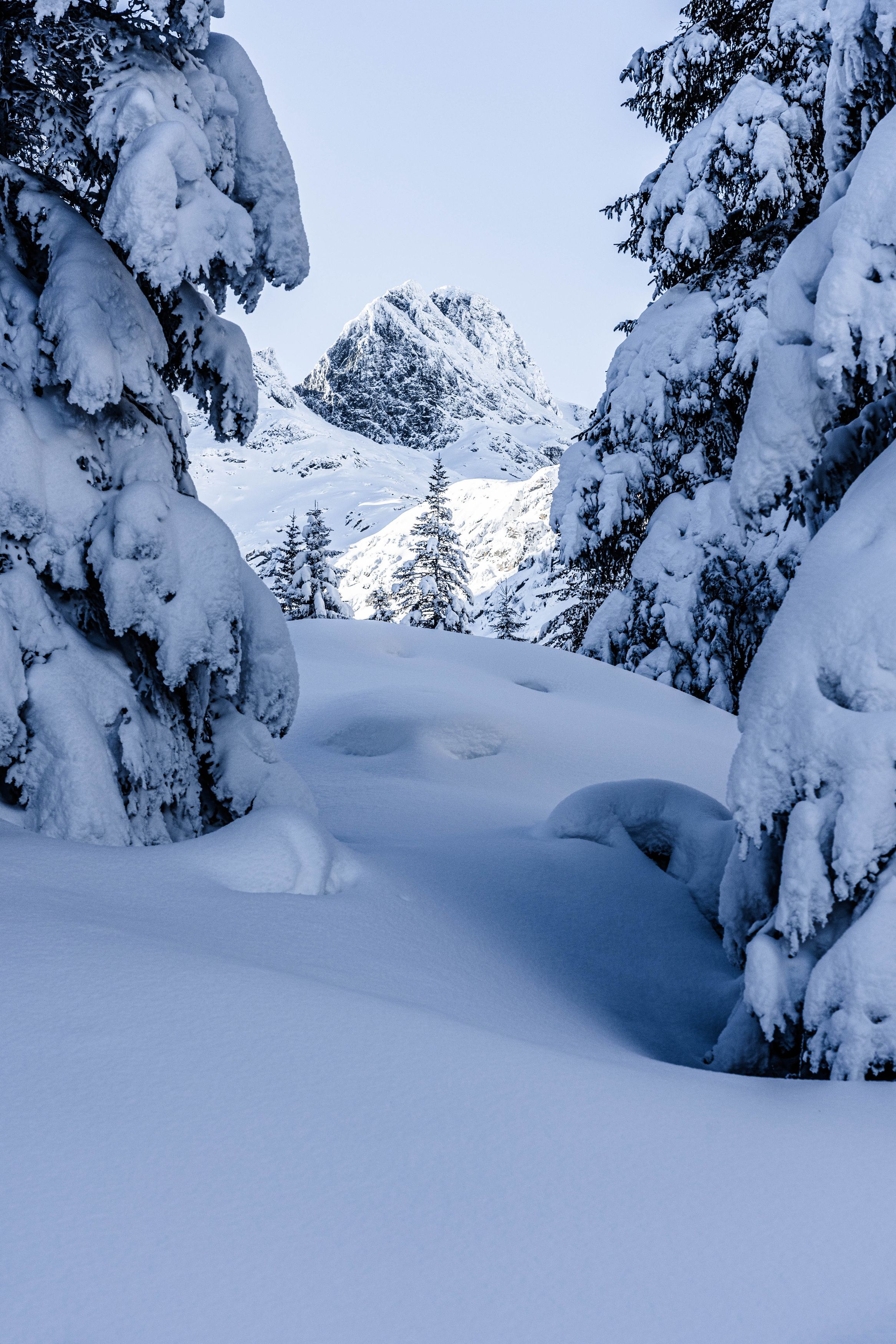 snow,nature,landscapes,vertical, viktor demidov
