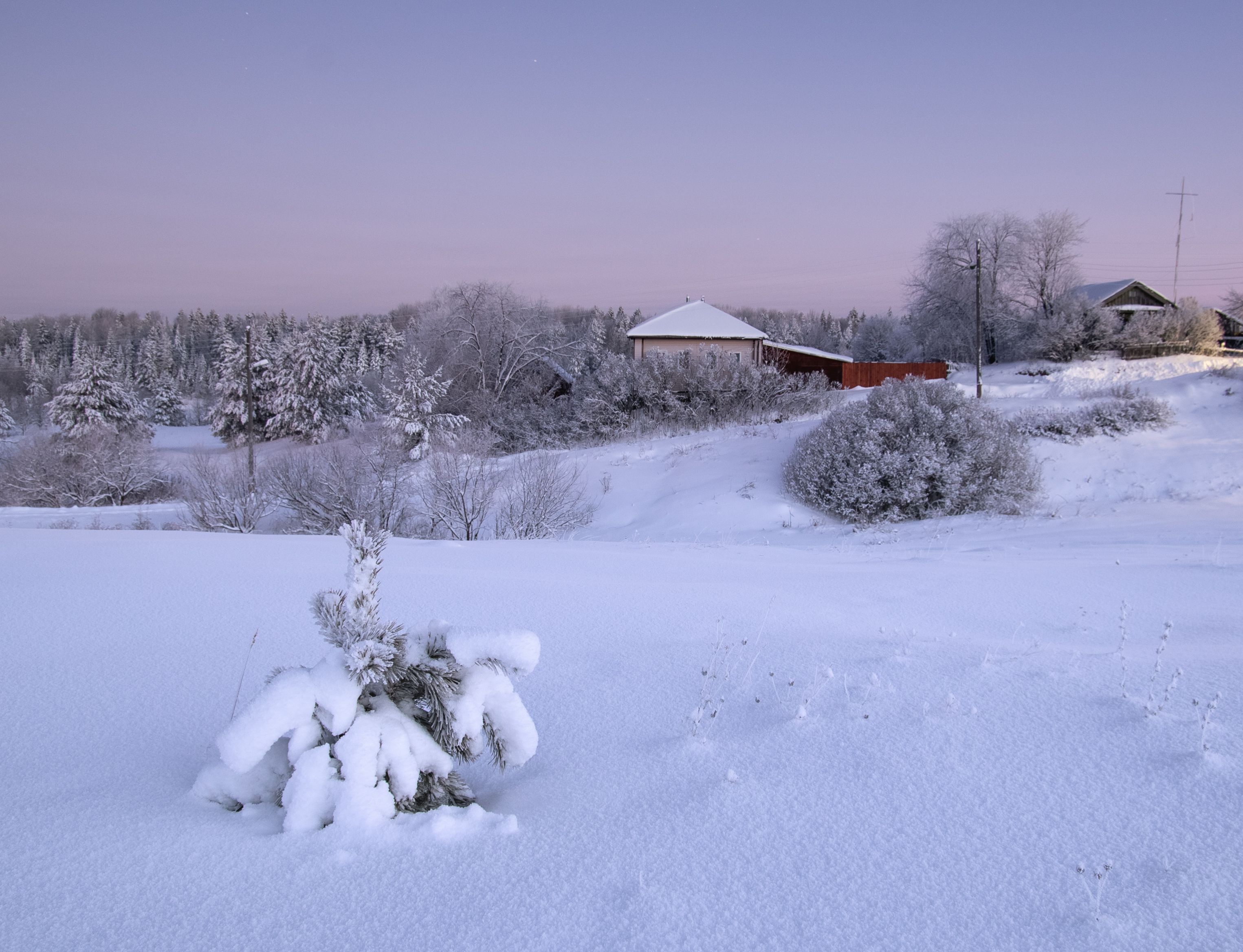 село, пейзаж, зима, россия, природа, снег, сумерки, Андрей Малыгин