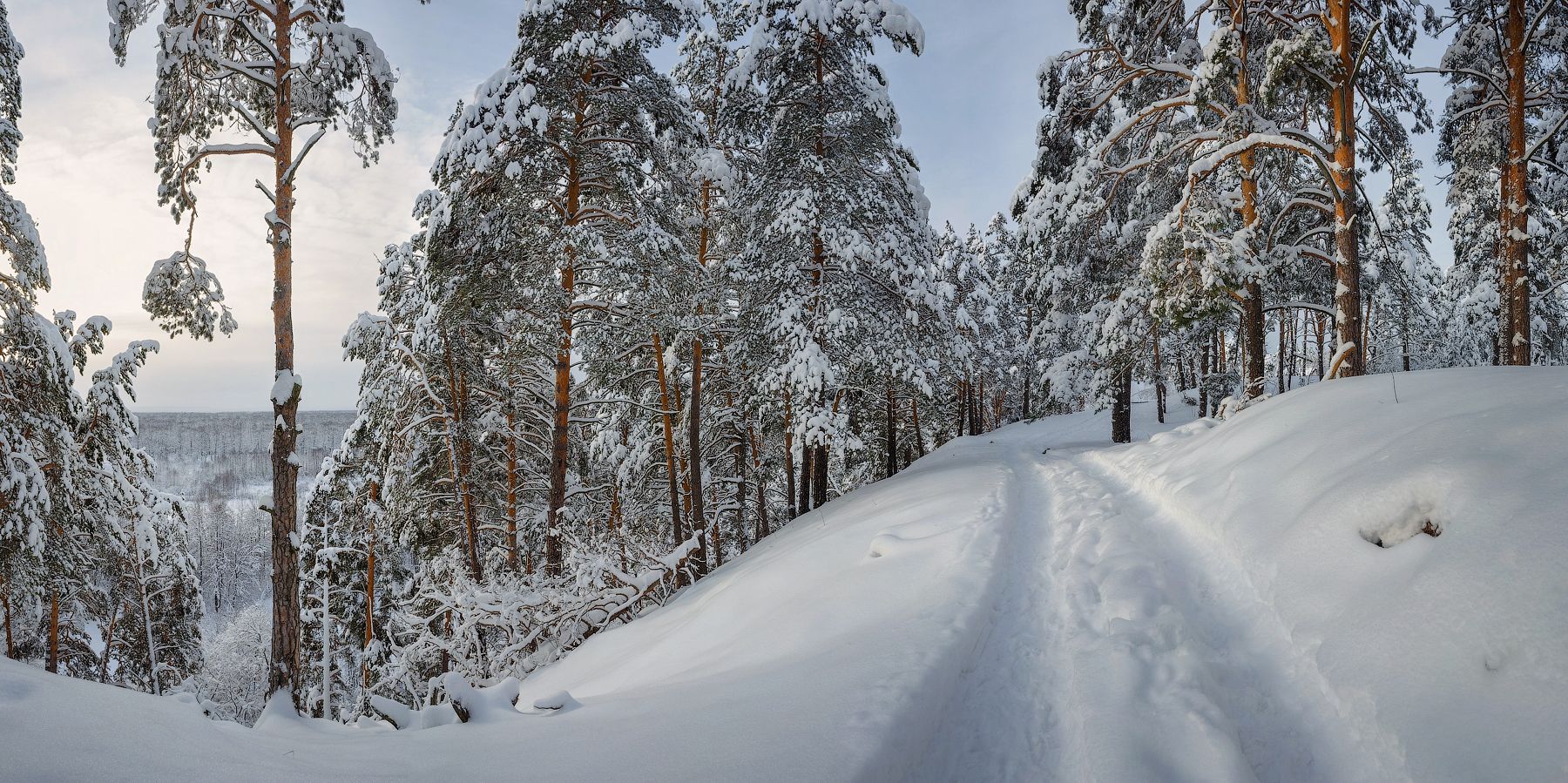 природа утро зима снег деревья, Михаил Корнилов