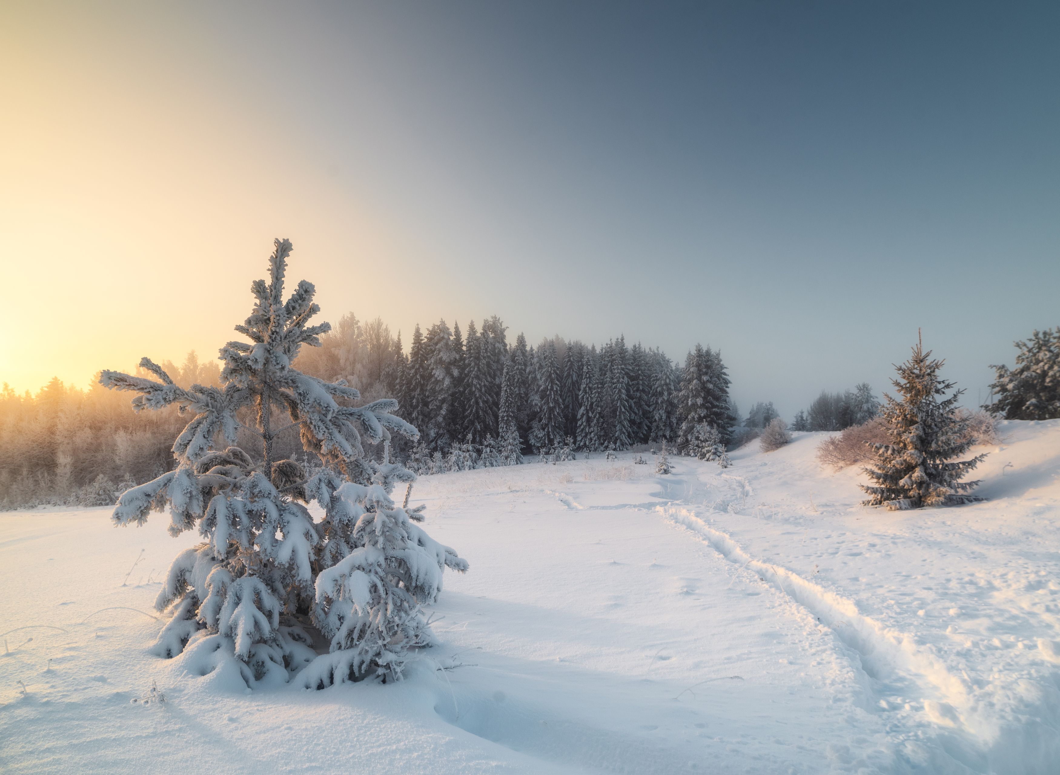 село, пейзаж, зима, россия, природа, снег, Андрей Малыгин