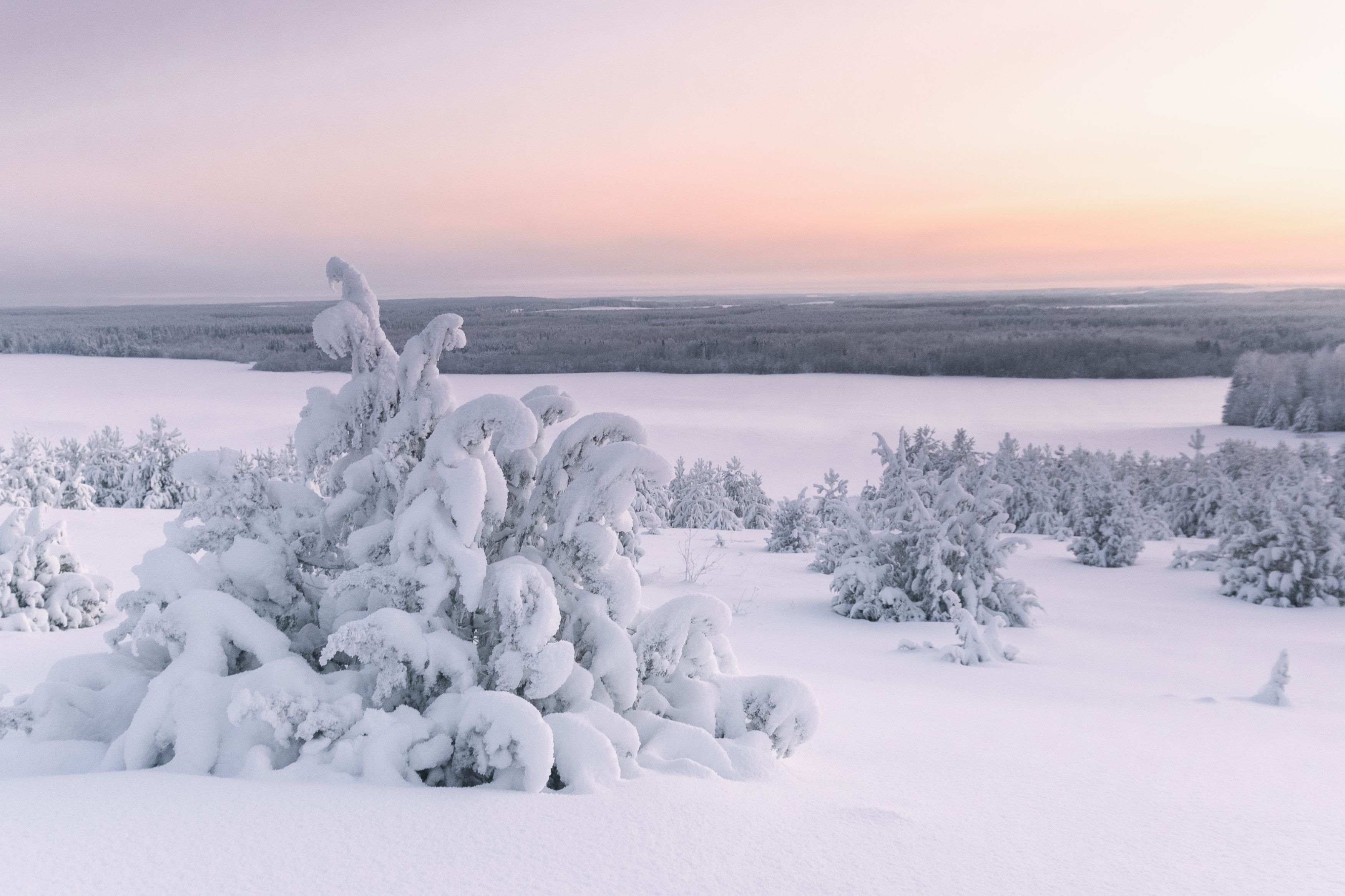 село, пейзаж, зима, россия, природа, снег, рассвет, Андрей Малыгин