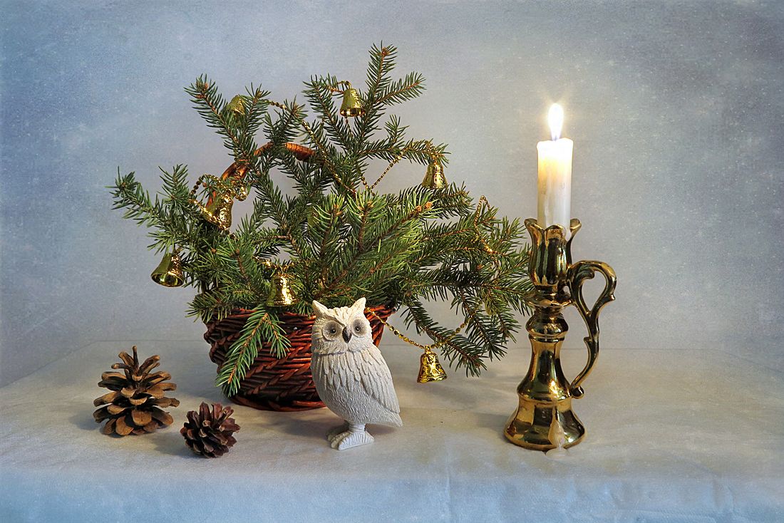 натюрморт,зима,новый год,елка,корзина,свеча,сова,шишки, Алла Шевченко