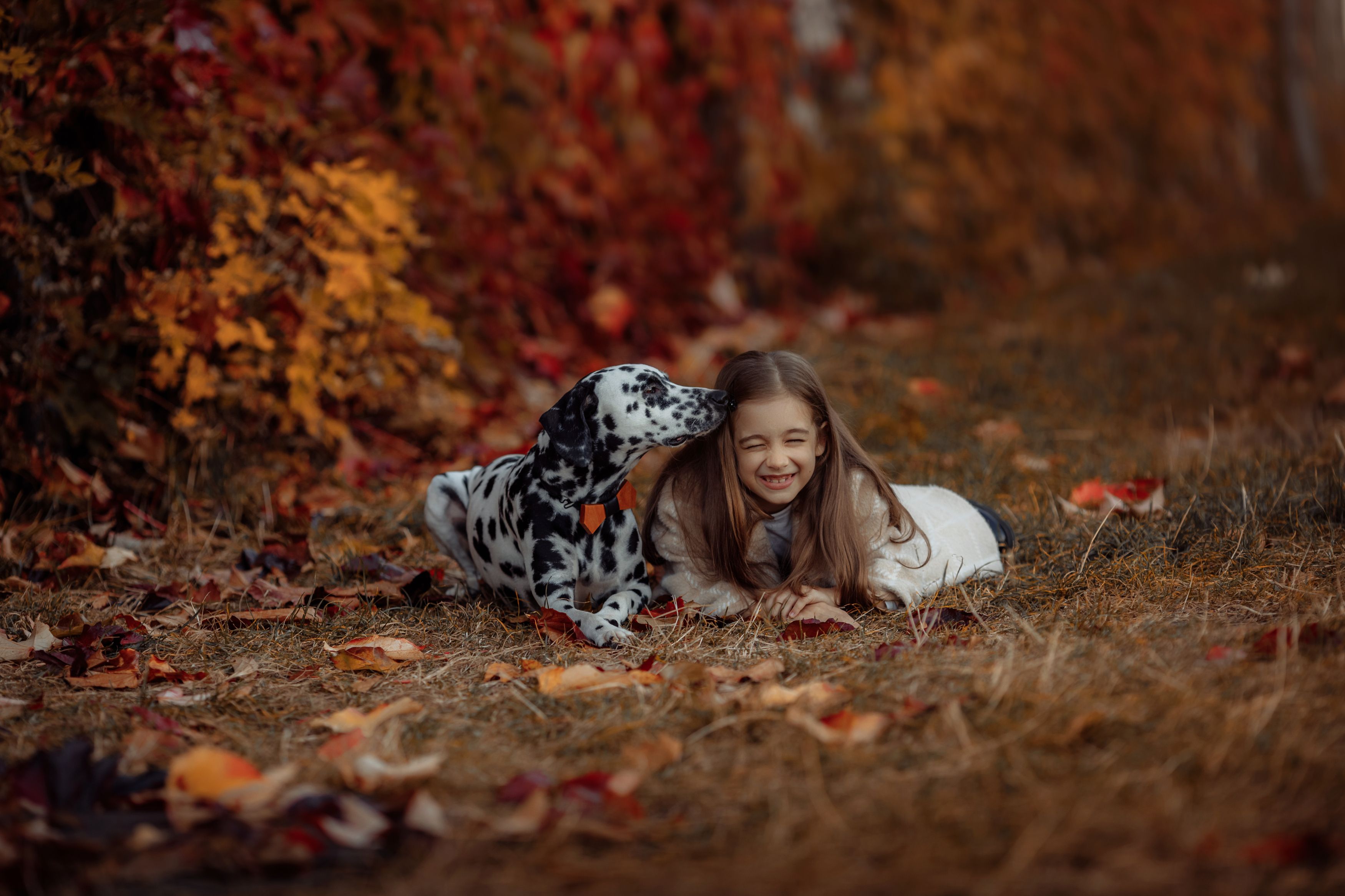 детское фото, далматинец, осень, дети, baby photo, dalmatian, autumn, children, Валентина