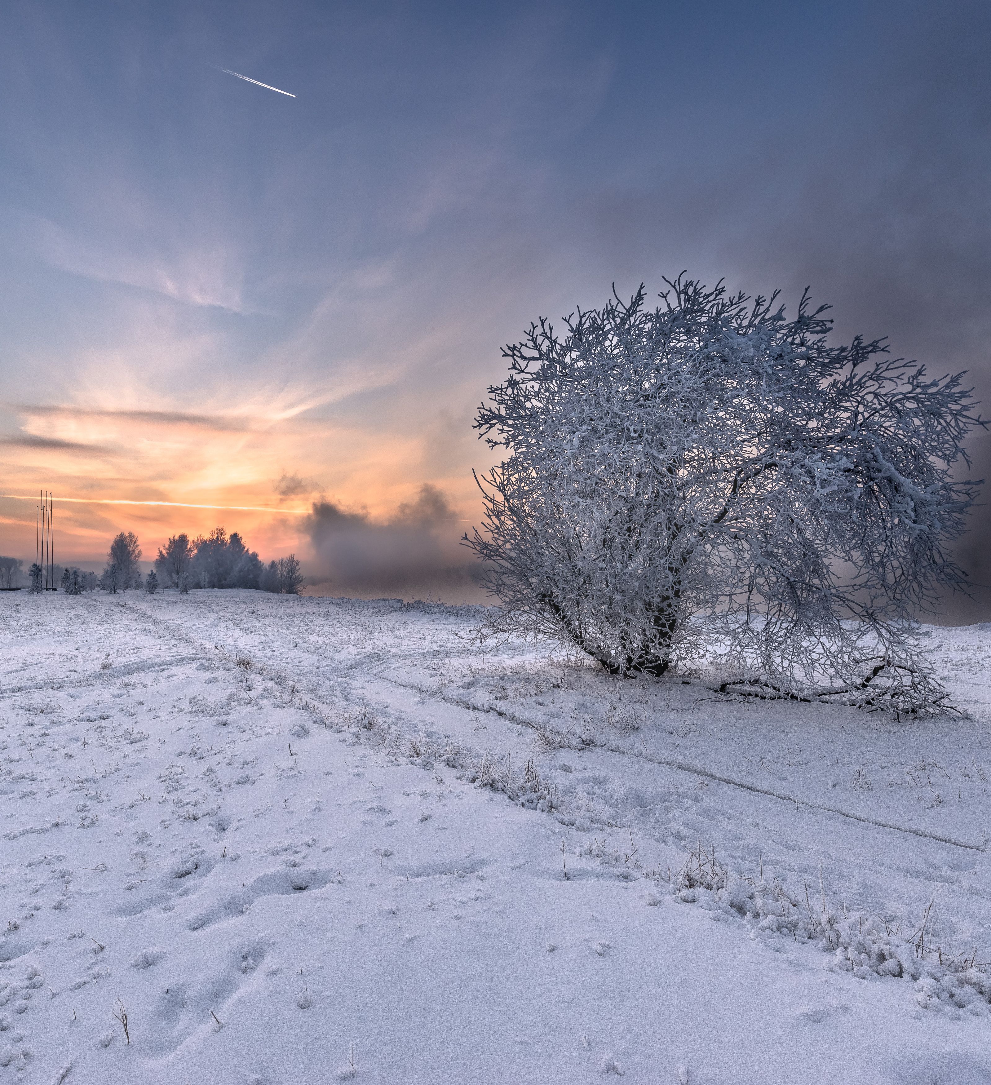 Снег, куст покрытый инеем, закат солнца, небо с летящим самолётом., Валерий Туманов
