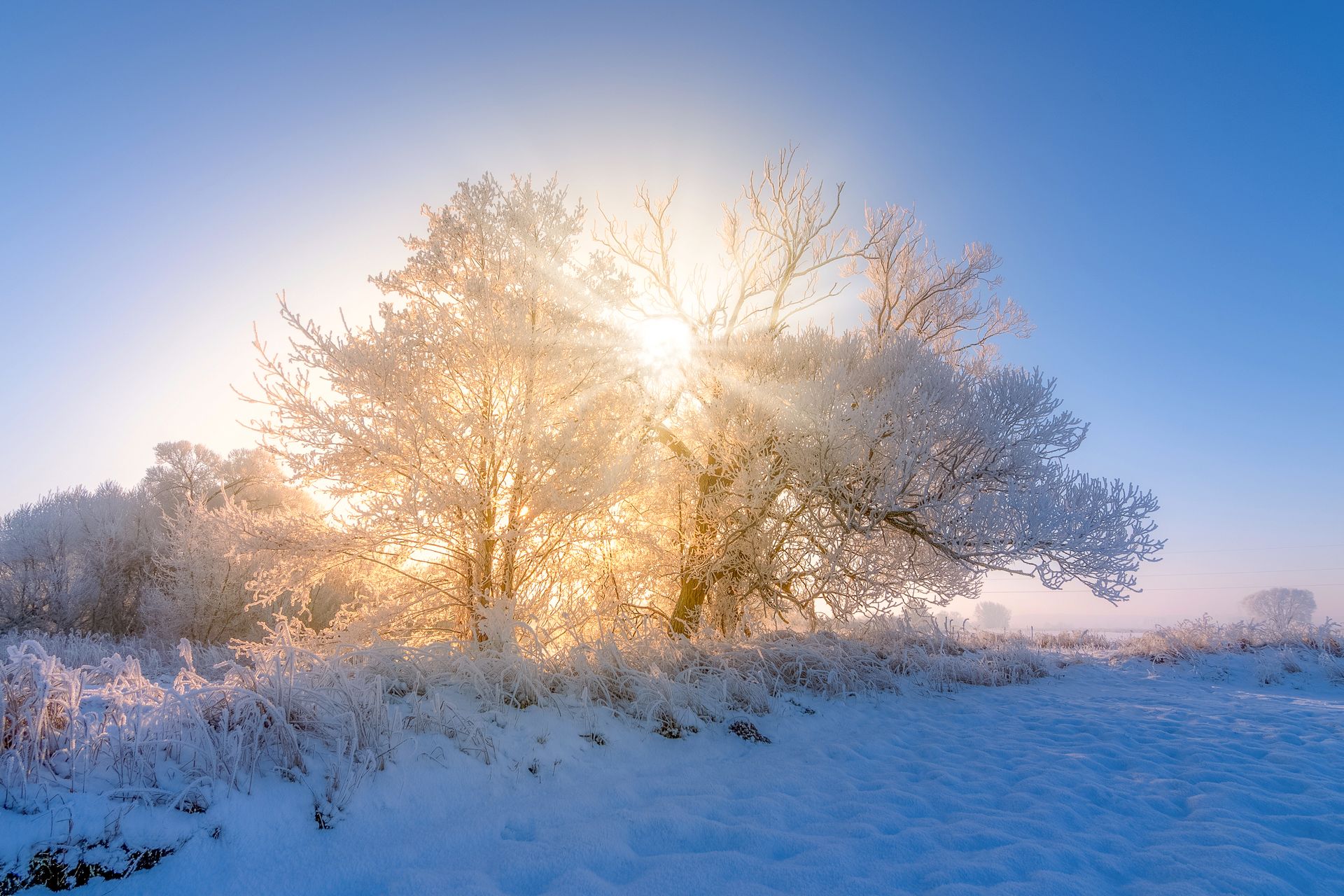 sunrise, winter 2021, landscape, nature, -21 degrees, frost, sun, sky, snow, river, Gwda, Krzysztof Tollas