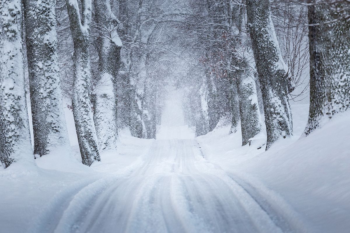 winter, road, trees, snowfall, warmia, poland, Michal Olech