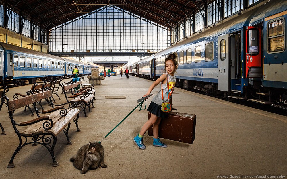 cat, city, girl, train, travel, Алексей Гусев