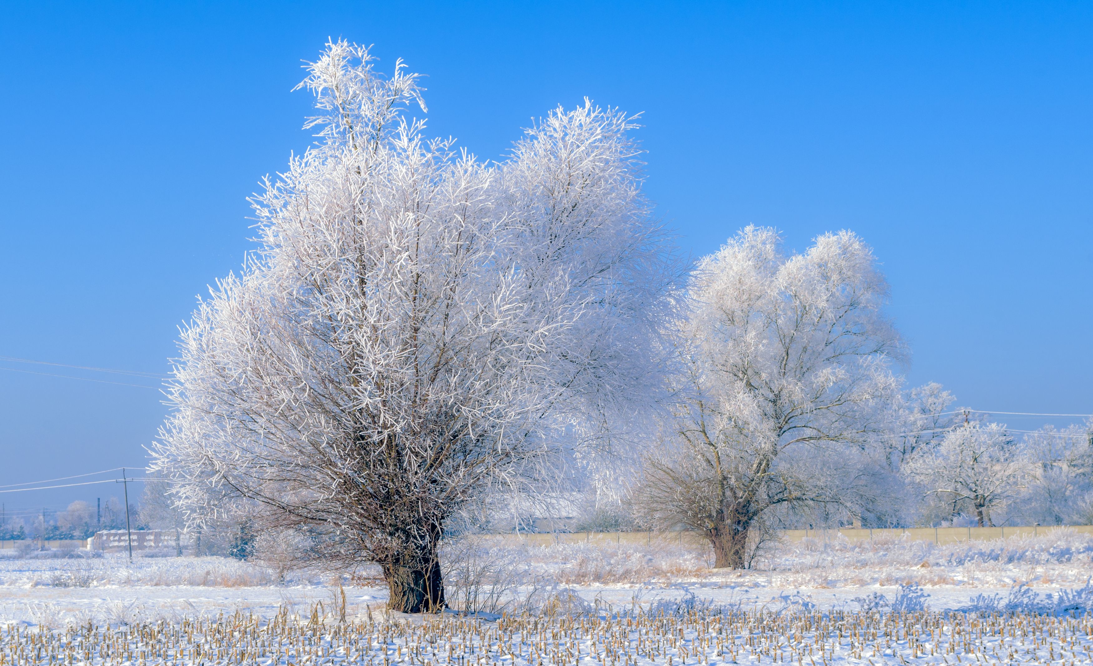 winter 2021, landscape, nature, -21 degrees, frost, sky, snow, Krzysztof Tollas