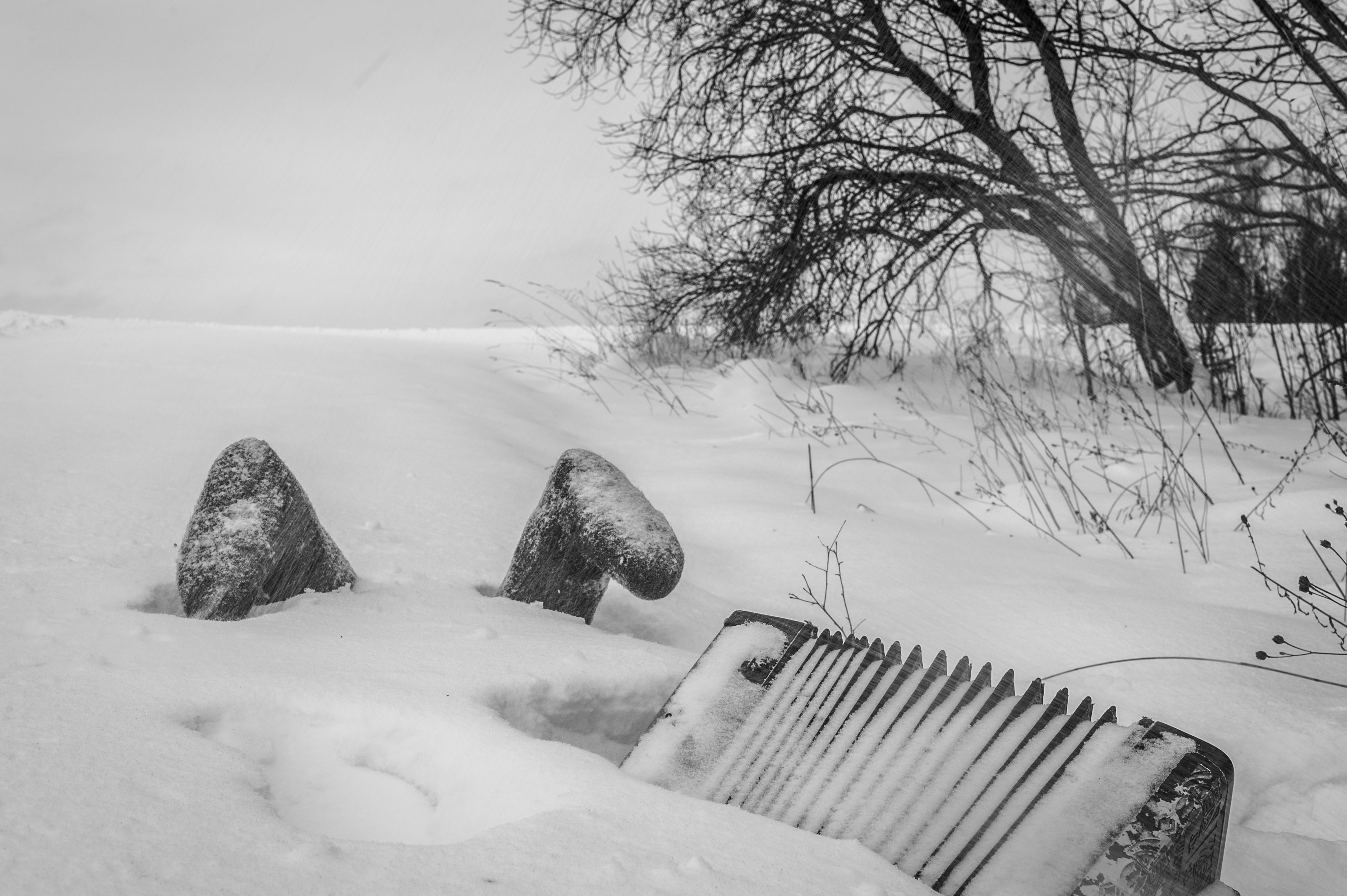 Пейзаж, чёрно-белая фотография, Виктор Черкасов
