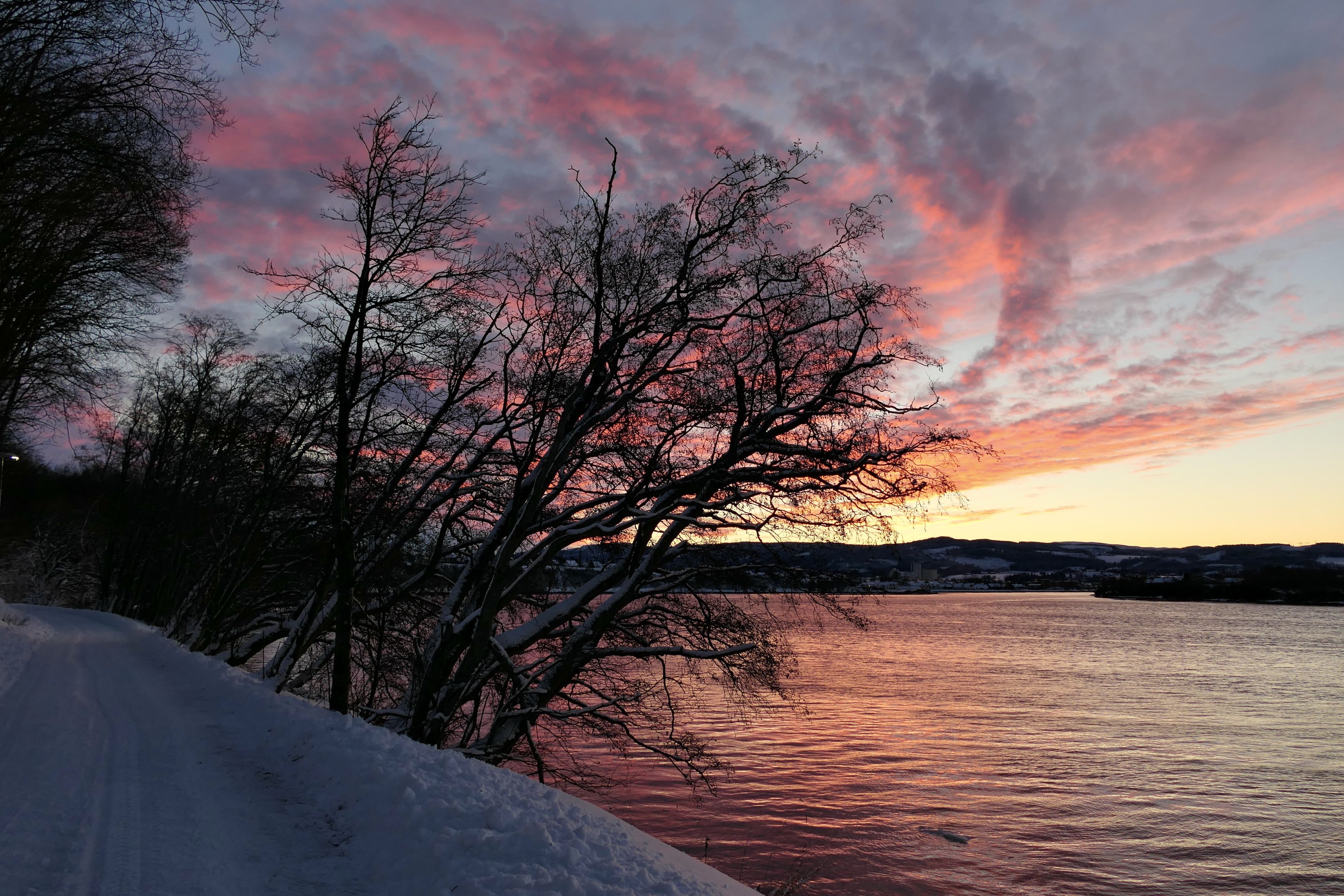 Landscapes, nature, sunrise, pink, colors, Norway, river, sky, clouds, reflection, water, snow, winter, colorful, trees, silhouette, , Svetlana Povarova Ree