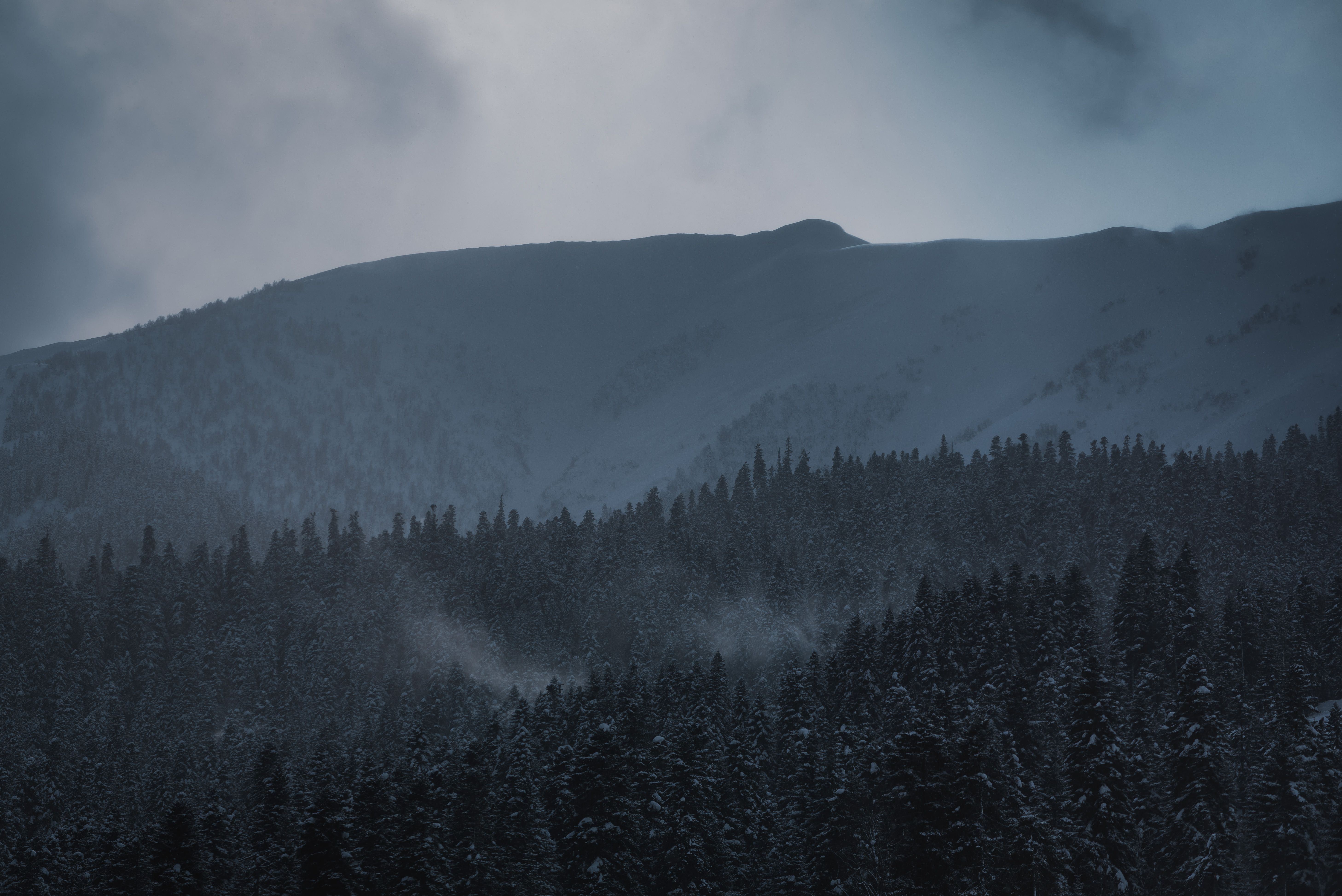 arkhyz landscape snow landscape frozen frost nature mountains forest pine twilight, Бугримов Егор