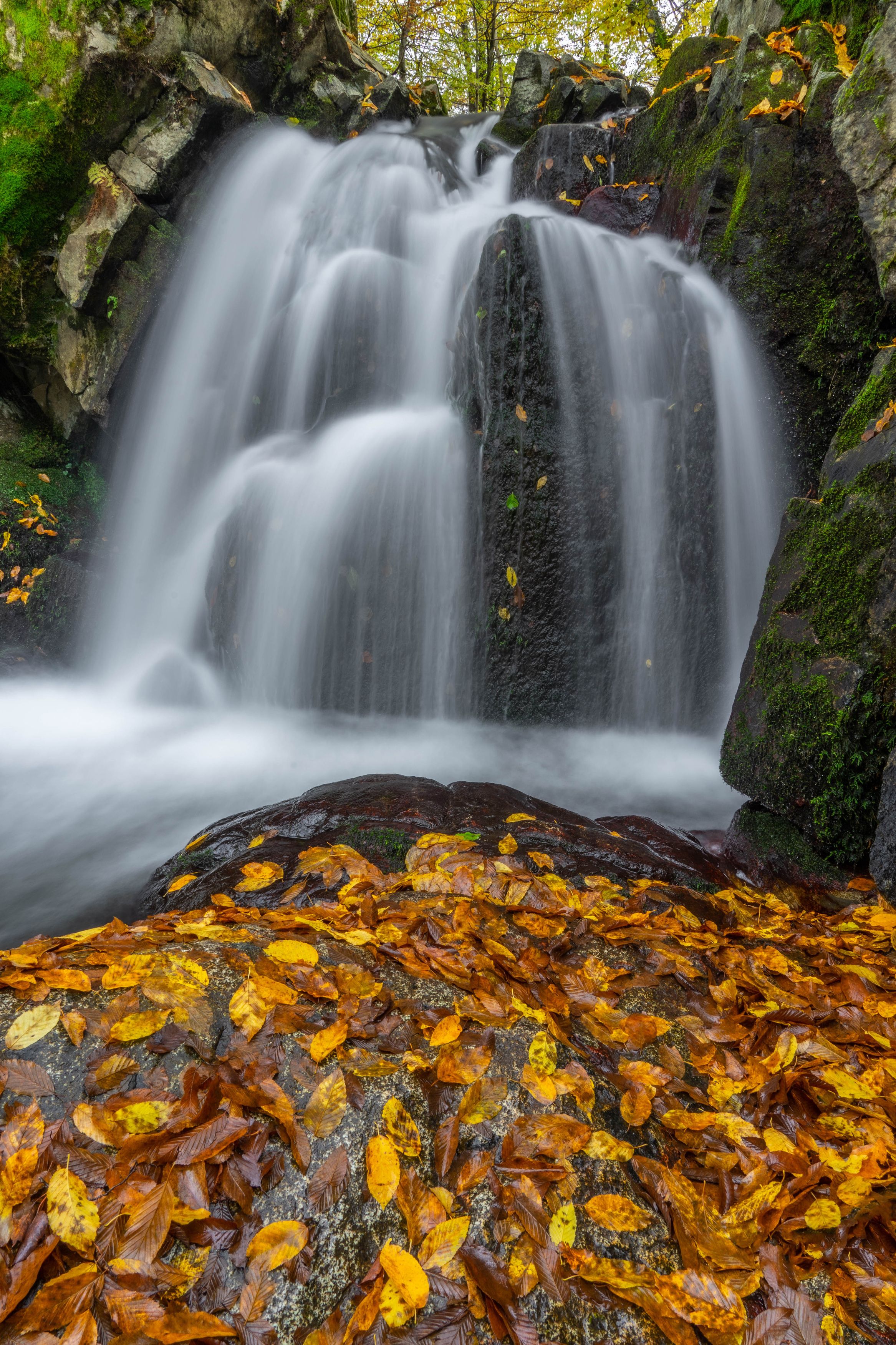 landscapes,waterfall,nature,autumn,vertical, viktor demidov