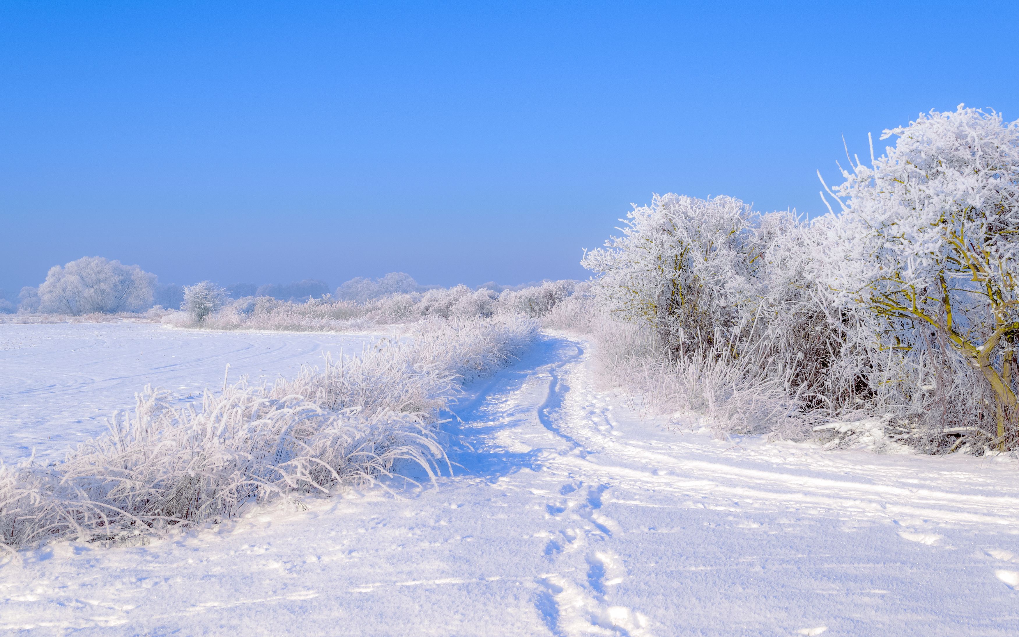 Winter 2021, landscape, nature, dirt road, December, sky, snow, frost, morning,, Krzysztof Tollas
