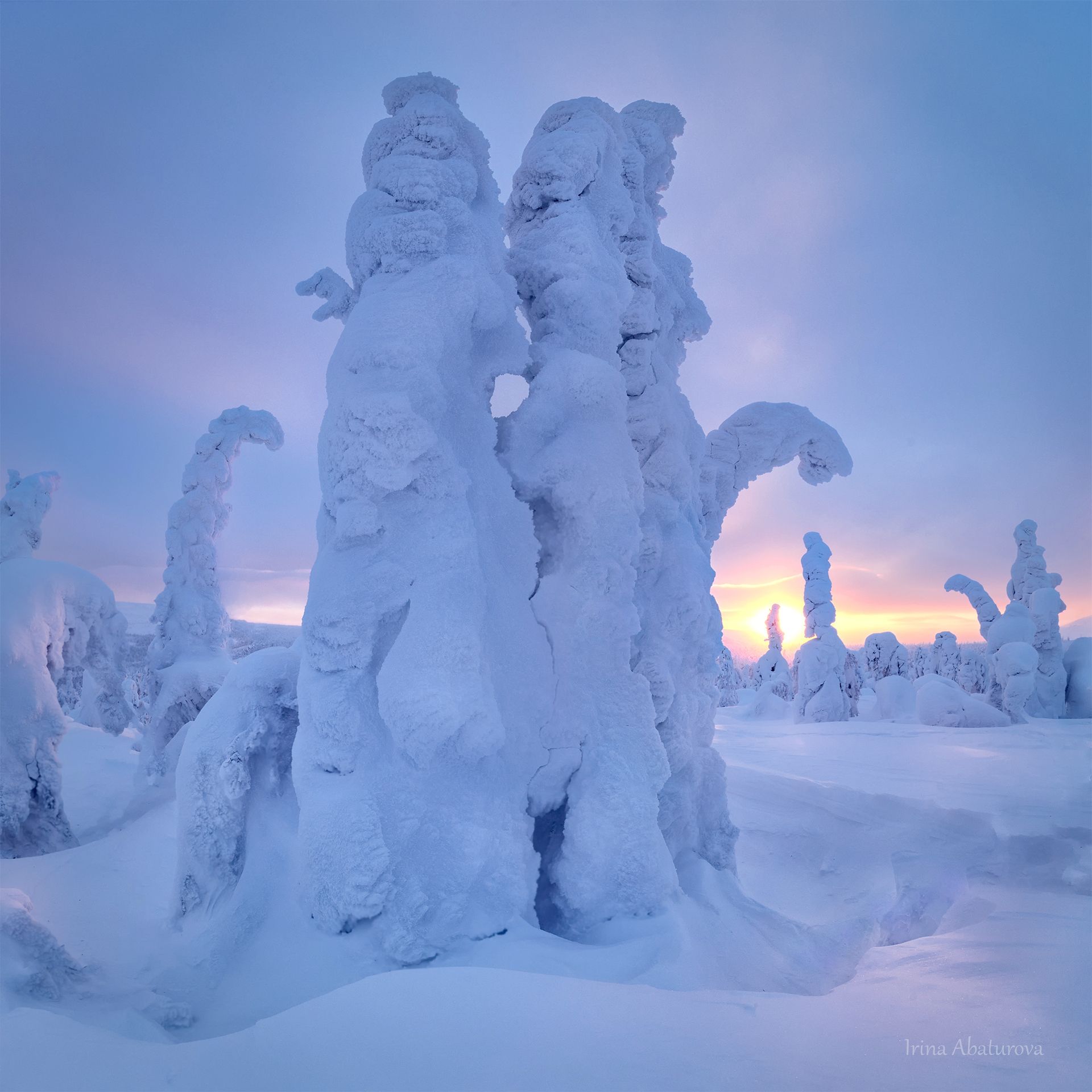 зима, урал, север, снег, ветер, сугроб, гух, главный уральский хребет, заснеженные деревья, Ирина Абатурова