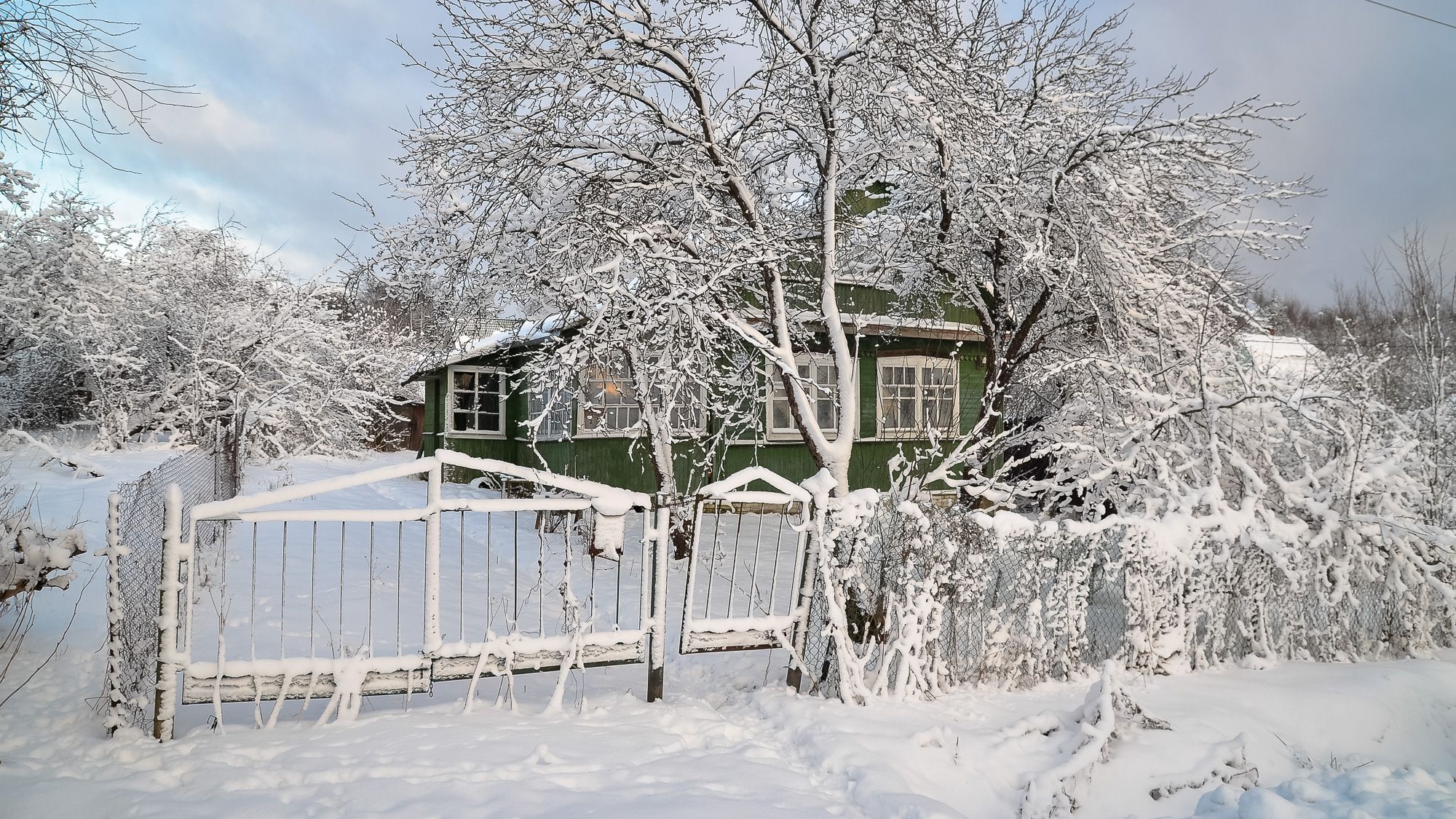 ленобласть, зима, деревня, природа, тишина, россия, снег, мороз, утро, Валерий Верещако