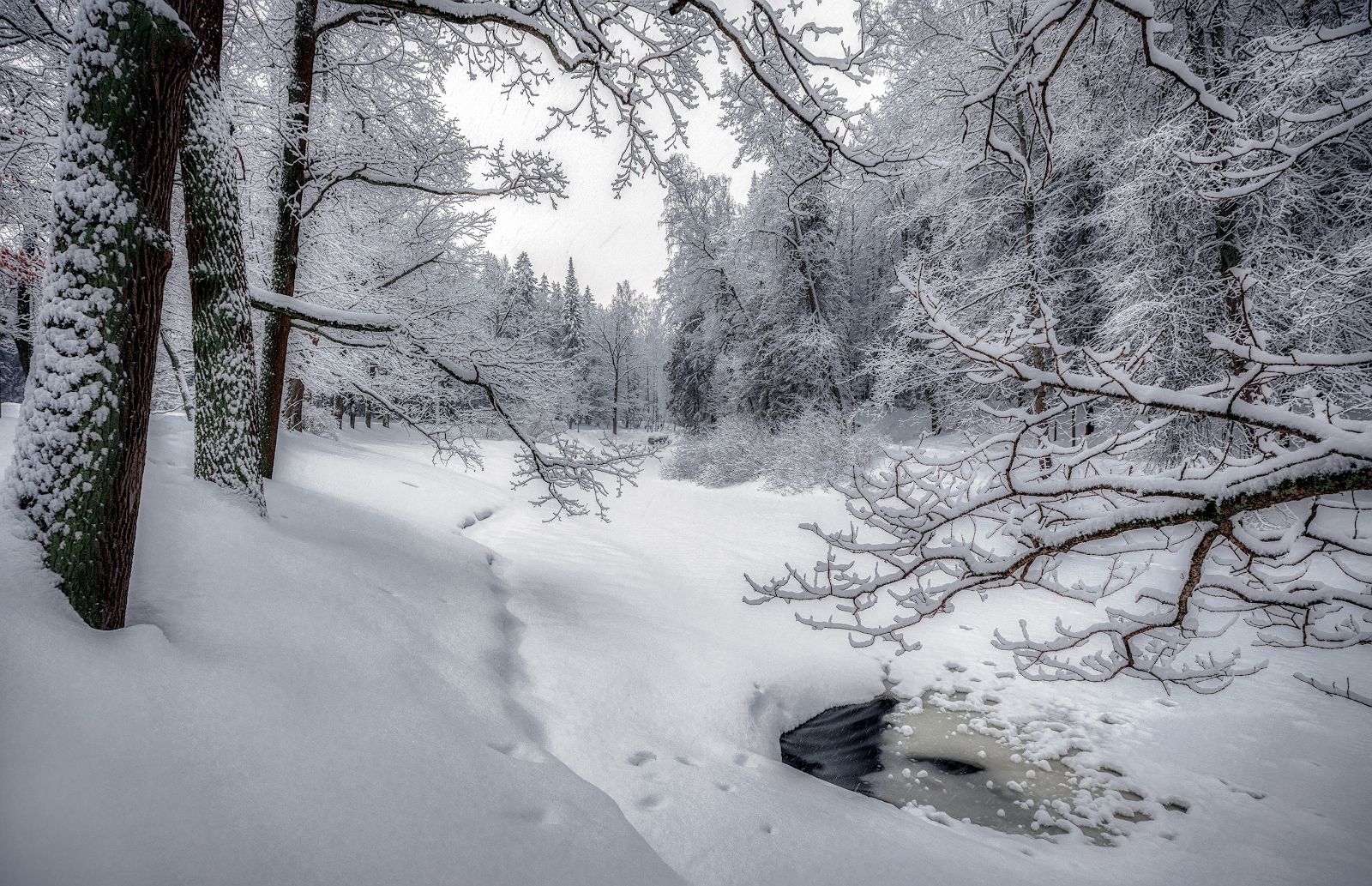 павловск зима январь снег снегопад река, Скороходов Константин